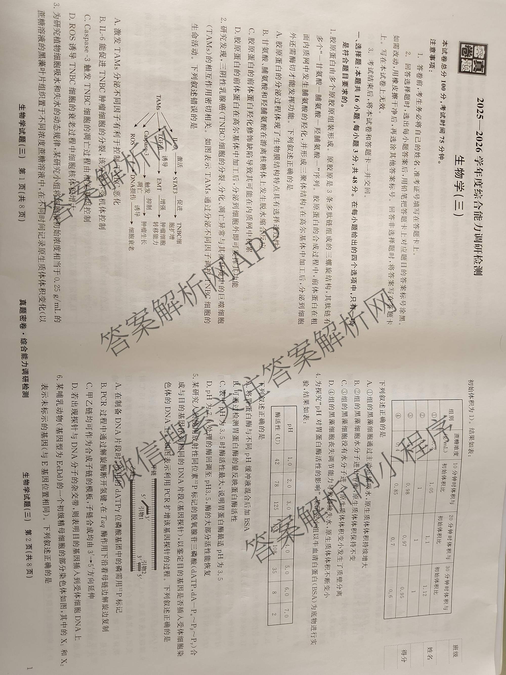 衡水真题密卷2025-2026学年度综合能力调研检测(三)3: 含地理(7)、生物(1)、英语(BT)试卷解析生物试题