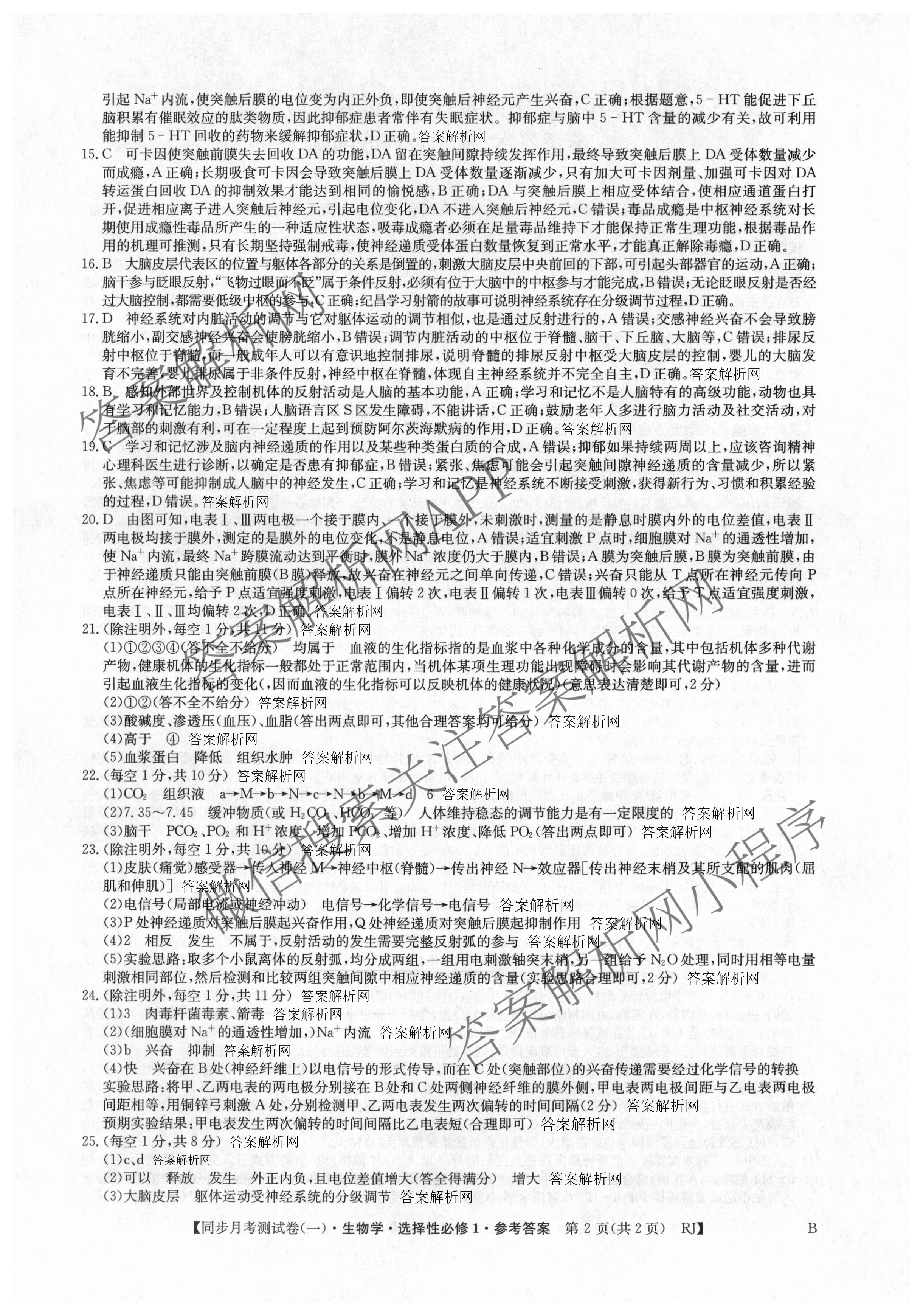 2025~2026学年度高二高中同步月考测试卷(一): 含数学(选择性必修第一册 RJ)、地理(选择性必修1 RJ)、数学(选择性必修第一册 XJ)试卷解析生物答案