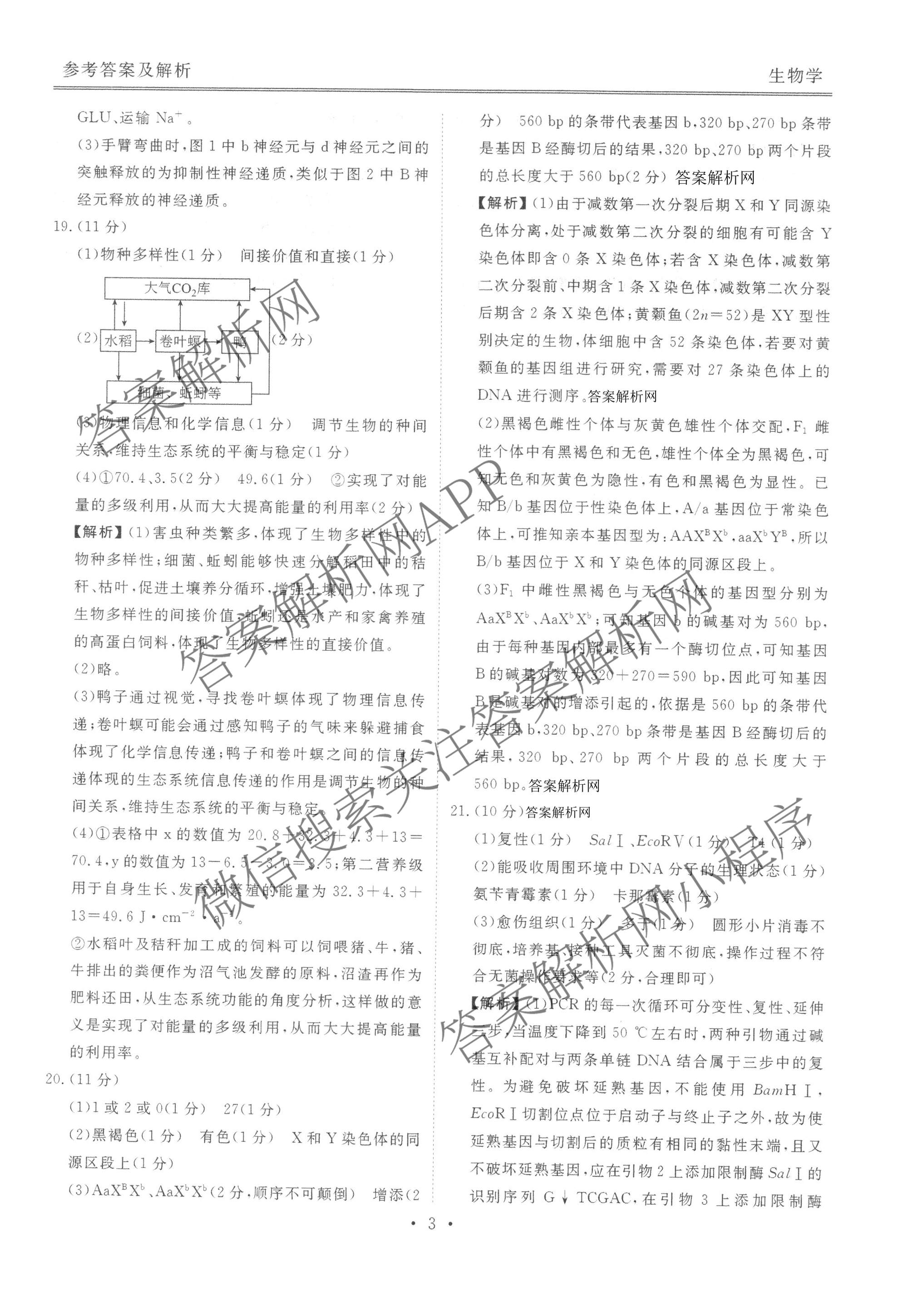 衡水金卷2025-2026学年度高三年级适应性测试(一)各科答案及试卷(已更新地理 生物 语文等9份)生物答案