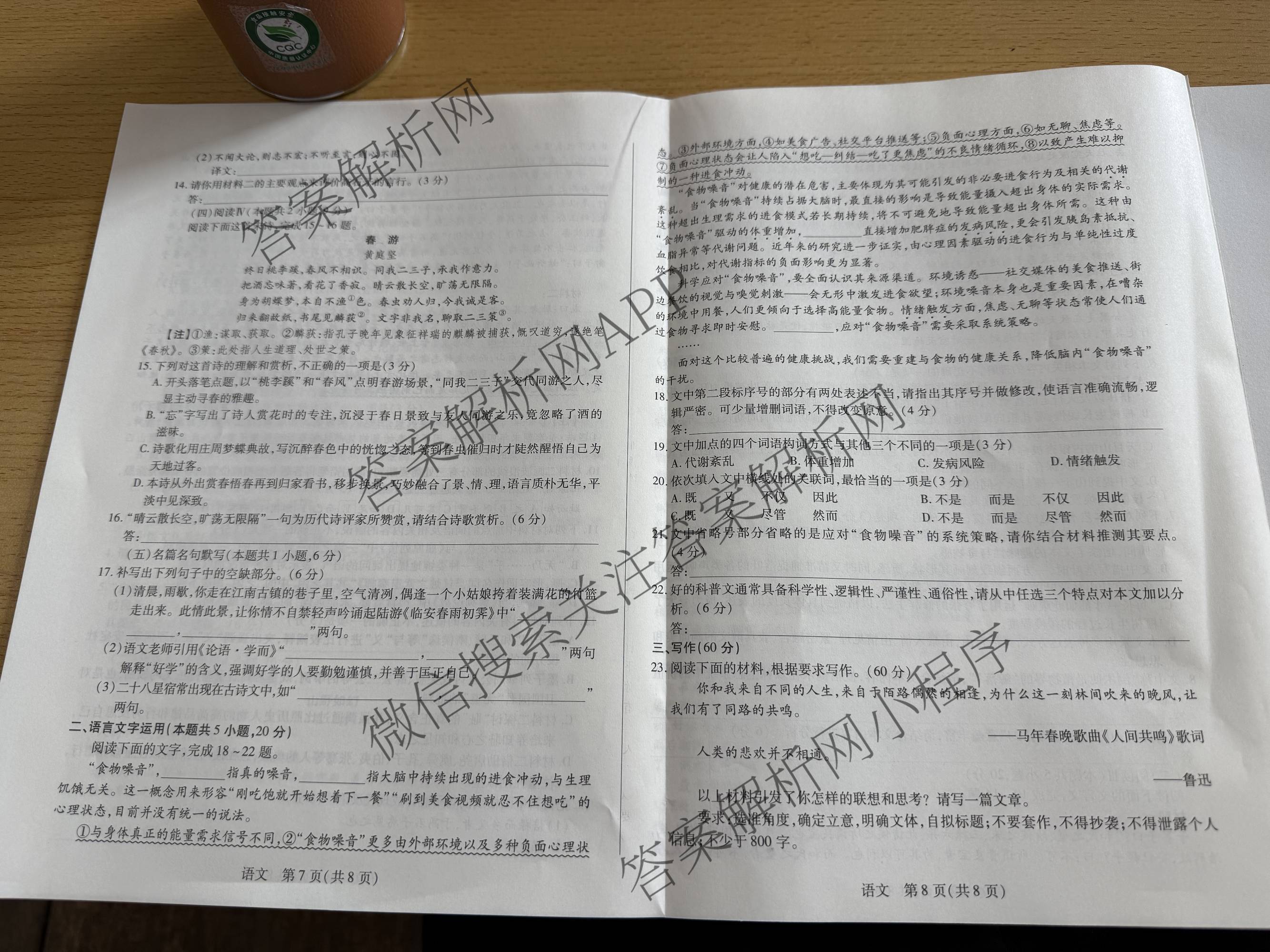 天一大联考2025-2026学年高三3月联考(SHAX202603)(3.5)试卷及答案汇总（含数学(B) 数学 物理等27份）语文试题