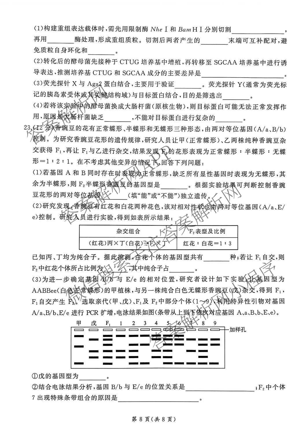 百师联盟2026届高三开年大联考(3.5)(已更新数学(百C)、历史(百N)、历史(百G)等81份)生物试题