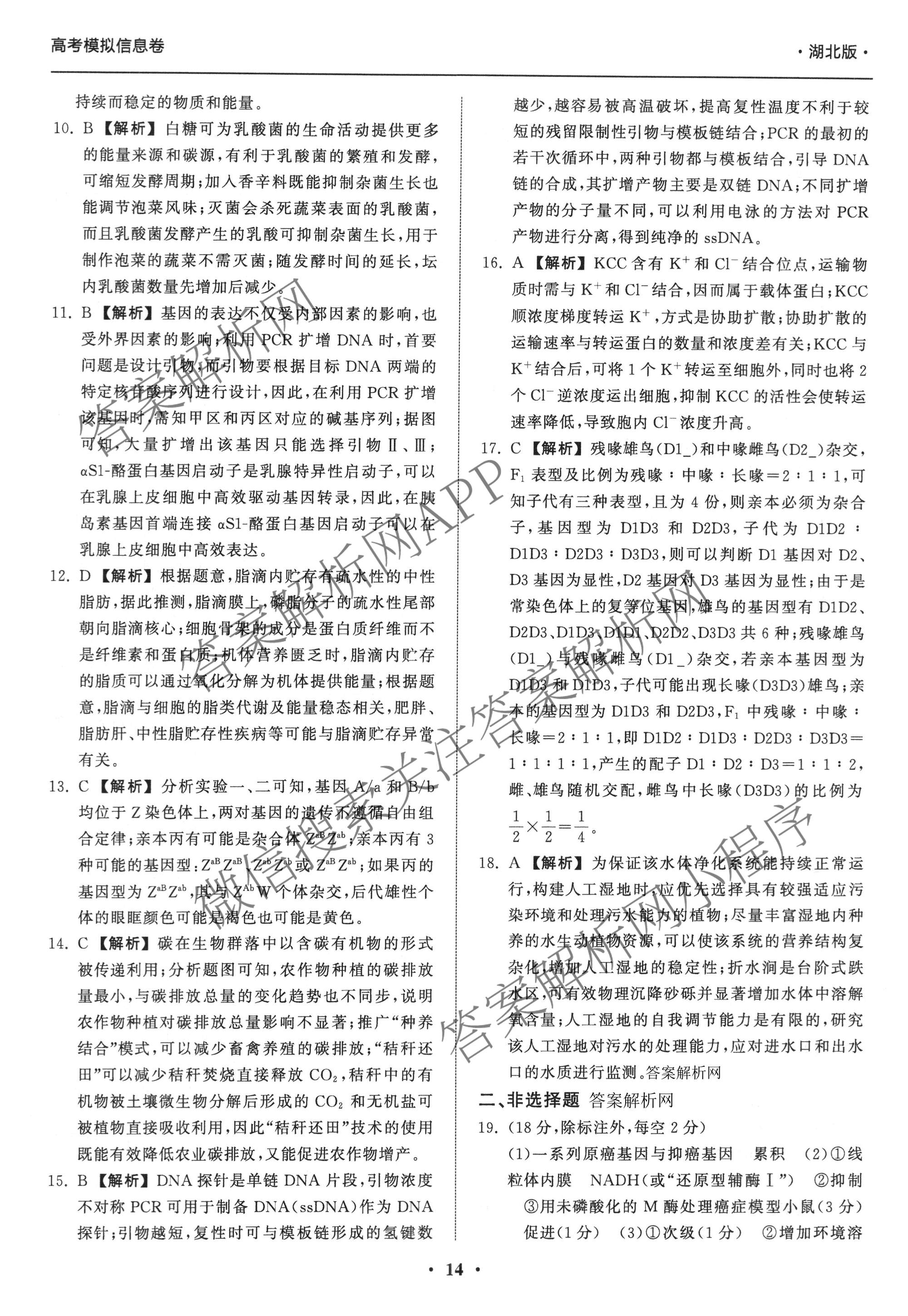 天舟高考衡中同卷2026年普通高等学校招生全国统一考试模拟信息卷(四)4试卷及答案汇总: 含化学(无字母)、数学(无字母)、理综(新疆版)试卷解析生物答案