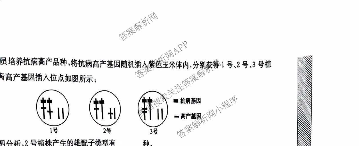 九师联盟2024~2025学年高三核心模拟卷(下)(二)2试卷及答案汇总: 含地理(D4) 政治(JX) 生物(JX)试卷解析生物试题