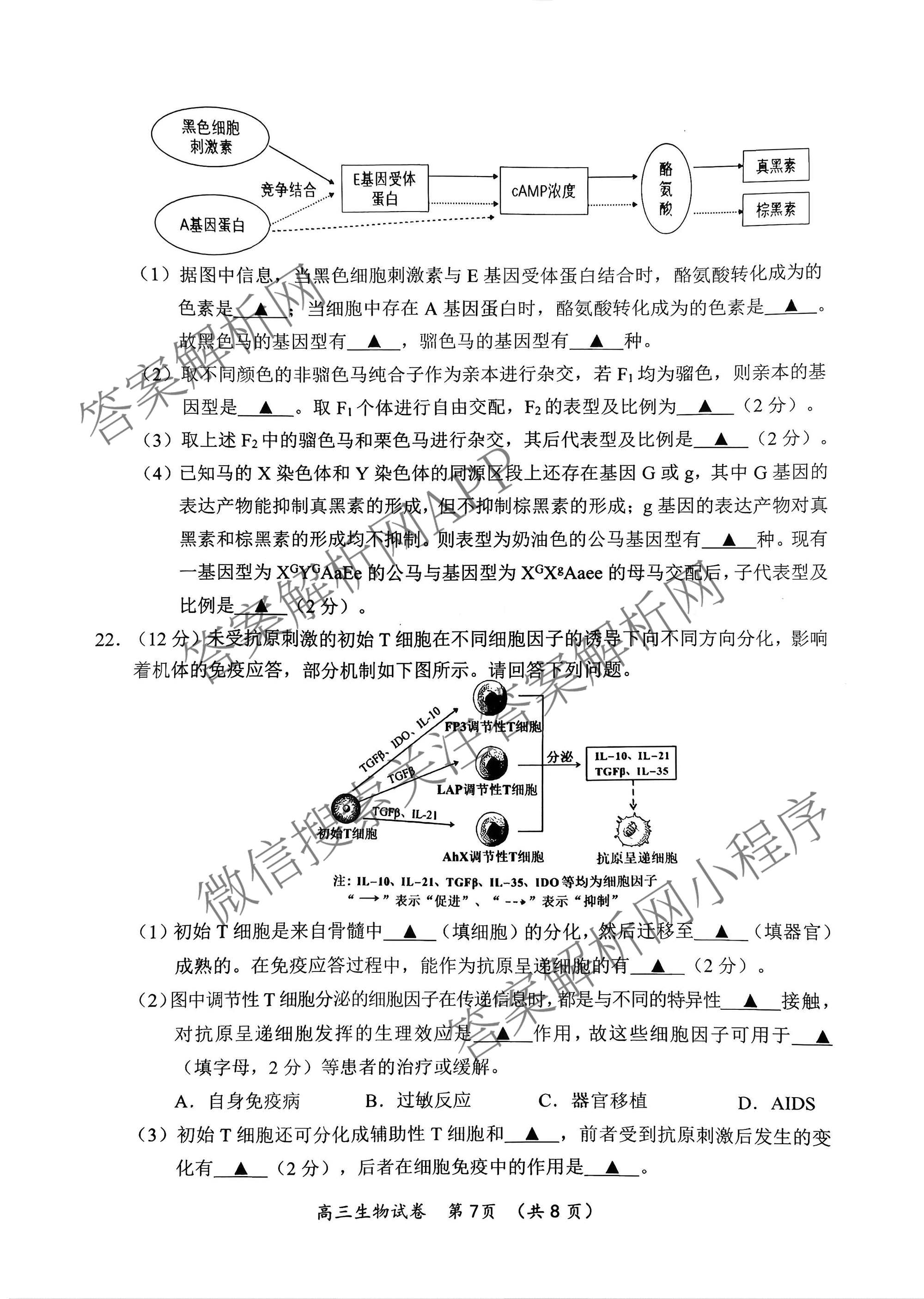 江苏省常州市2025-2026学年第一学期高三期中质量调研(2025年11月)各科答案及试卷: 含数学 英语 政治试卷解析生物试题