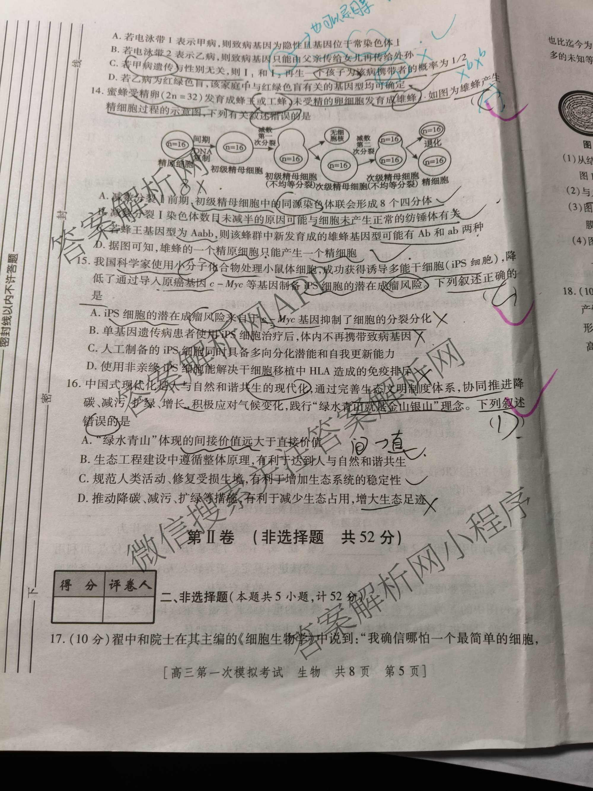 陕西省兴市2026届高三第一次模拟考试: 含地理、数学、语文试卷解析生物试题