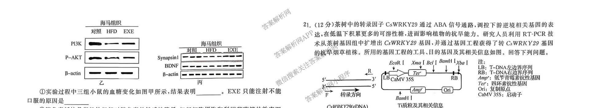 天舟高考衡中同卷2026年普通高等学校招生全国统一考试模拟信息卷(三)3（含历史(HJ)、数学(B)、文综(新疆版)等）生物试题