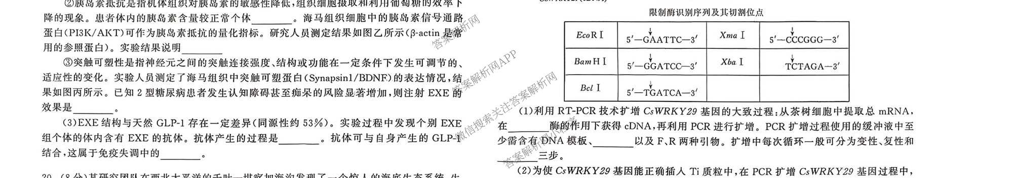 天舟高考衡中同卷2026年普通高等学校招生全国统一考试模拟信息卷(三)3（含历史(HJ) 地理(GY) 数学(无字母)等）生物试题