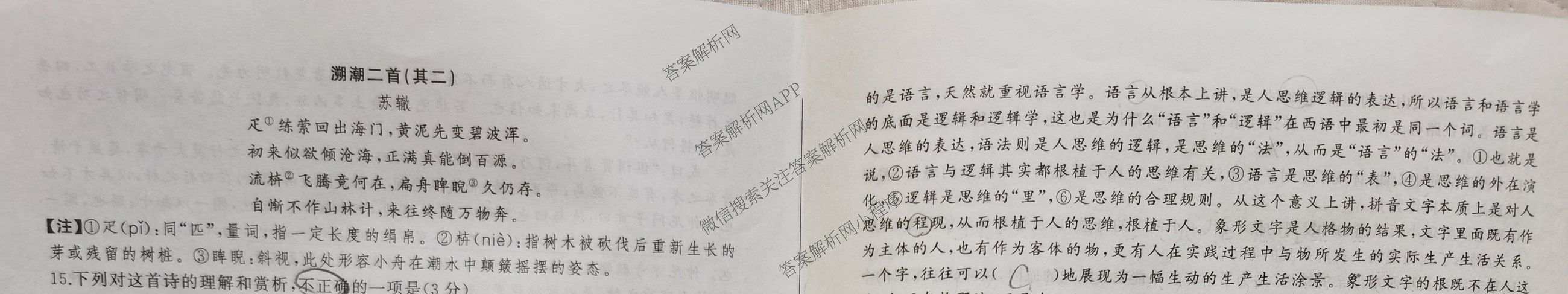 百师联盟2025-2026学年高三年级全真模拟测试卷（含地理 政治 物理(B)等）语文试题