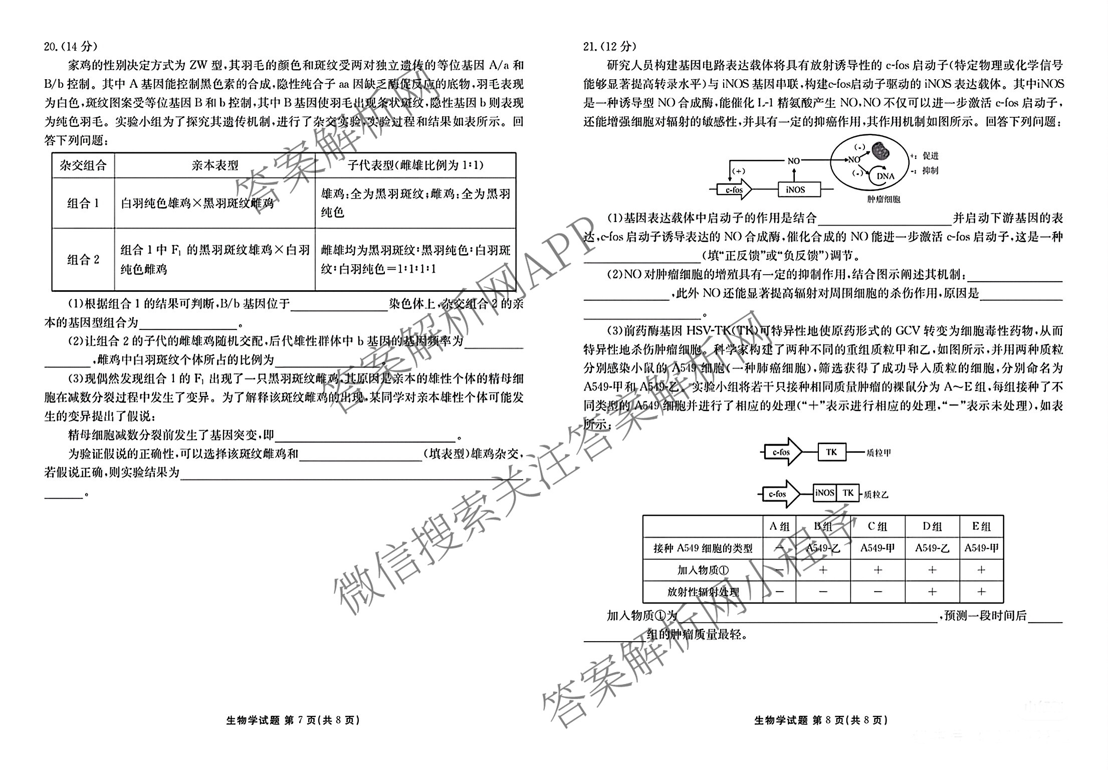 广东省部分学校2026届新高三开学联考（含俄语、化学、生物等）生物试题