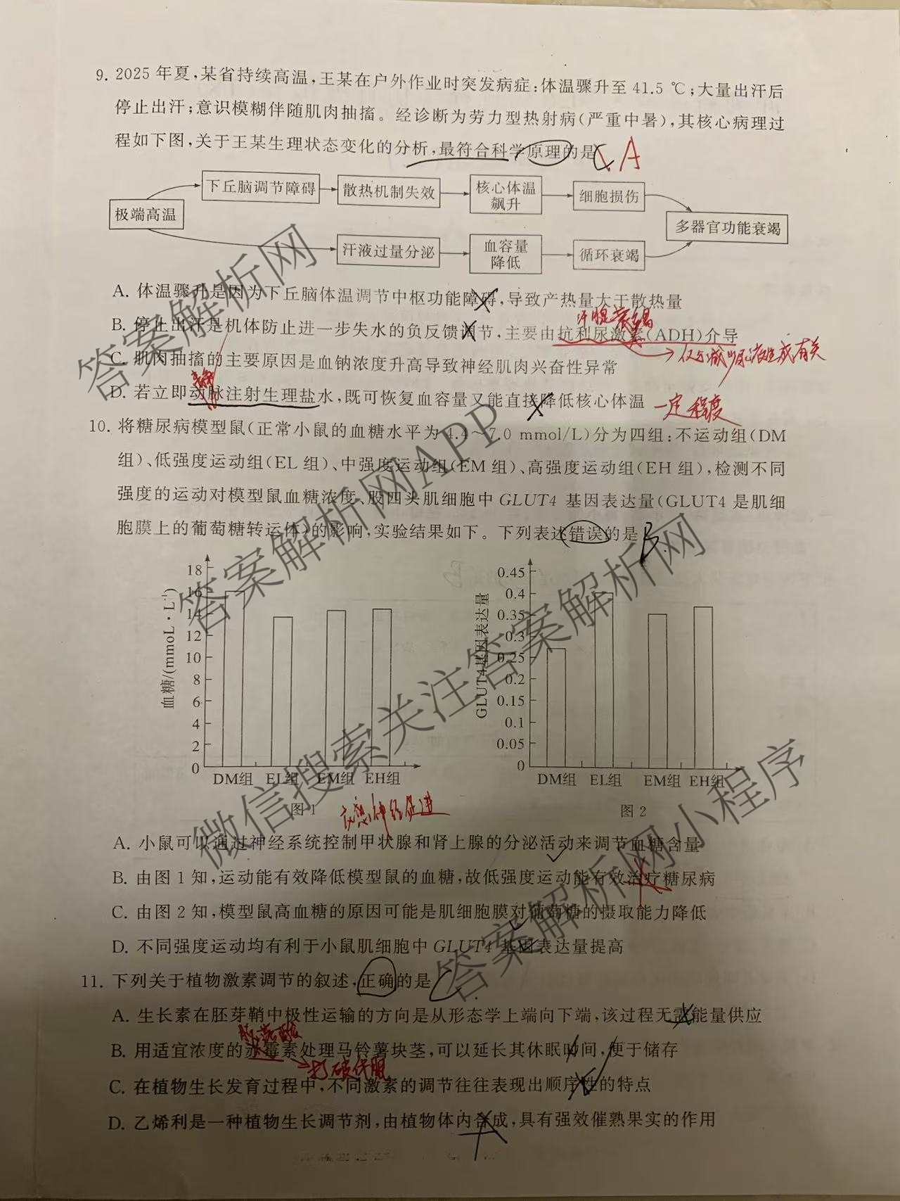 冲刺新高考2026届高考仿真模拟卷(T8)(三)3（20科全）生物试题