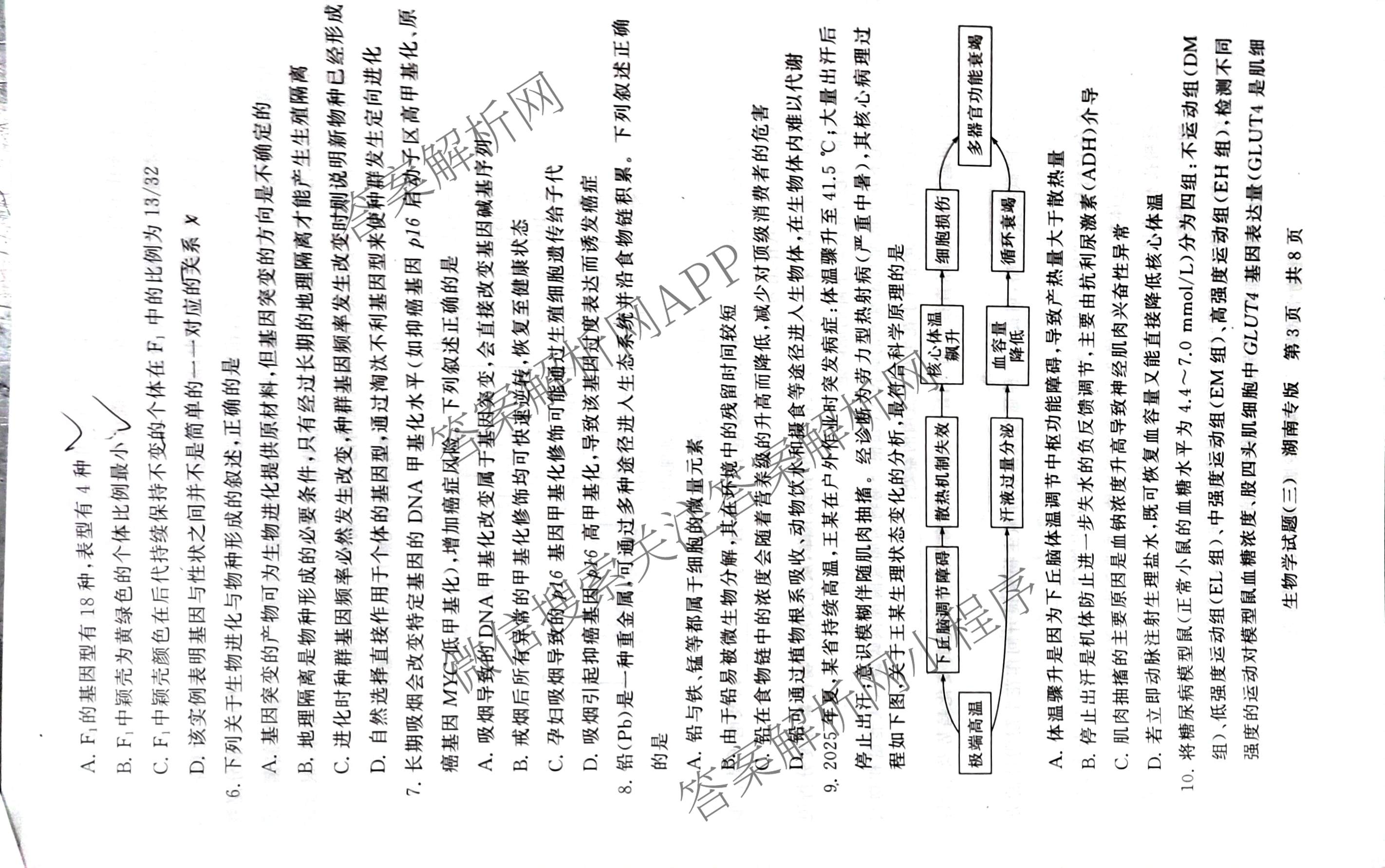 冲刺新高考2026届高考仿真模拟卷(T8)(三)3（20科全）生物试题