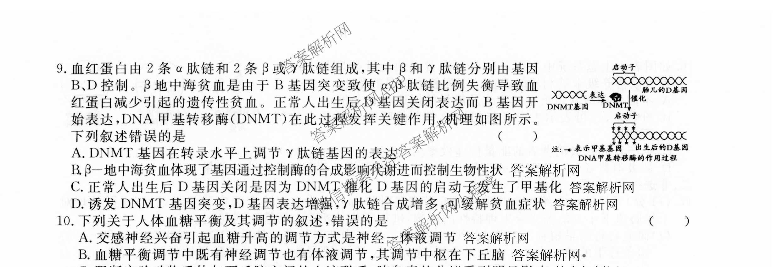 2026届高三总复习名师原创模拟(十)10各科答案及试卷: 含化学(XS6JG)、历史(CQX6)、物理(XS6J)试卷解析生物试题