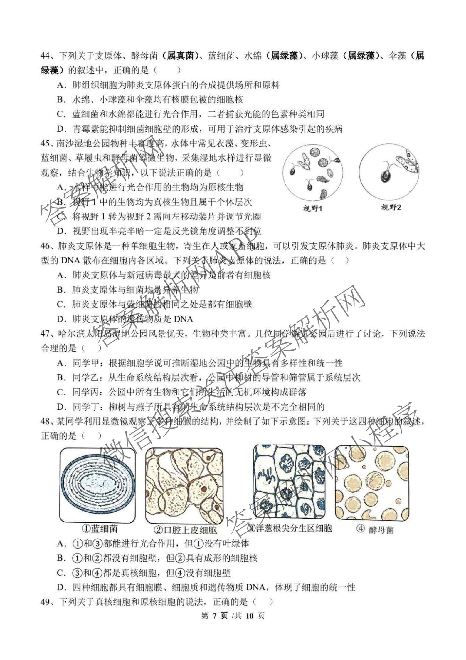 河南南阳一中2029届高一九月月考试卷及答案汇总（含地理 数学 物理等）生物试题