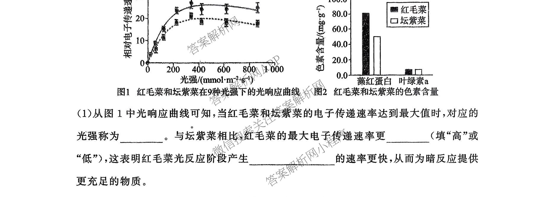 百师联盟2026届高三开学摸底联考(已更新物理(百C) 物理(百E) 地理(S)等56份)生物试题