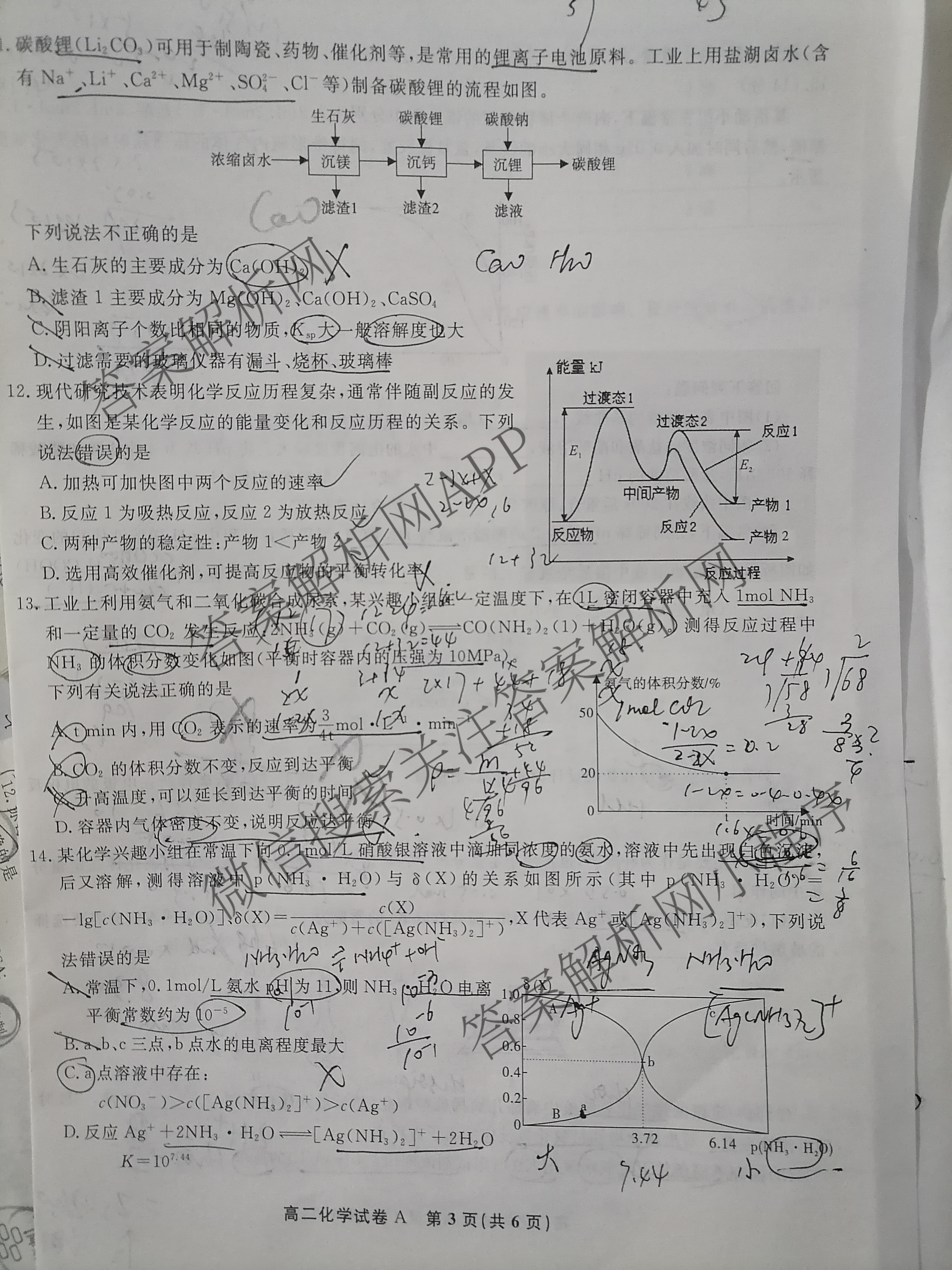 安徽金榜教育2024-2025高二上学期12月联考(12.19)试卷及答案汇总(已更新生物(A卷) 化学(A卷) 物理(A)等11份)化学试题