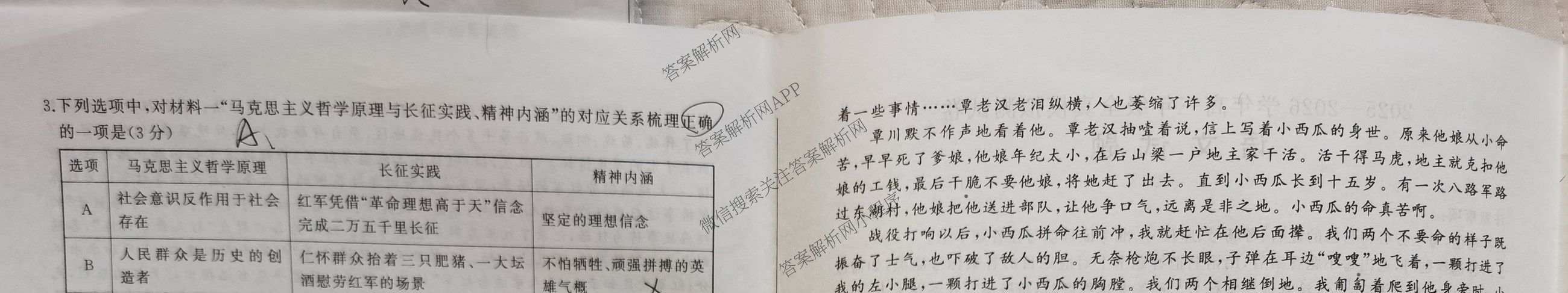 百师联盟2025-2026学年高三年级全真模拟测试卷（含地理 政治 物理(B)等）语文试题