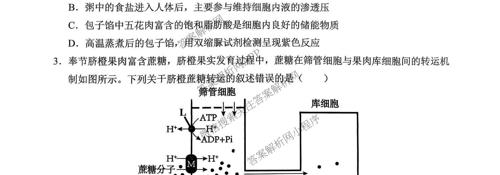 西南大学附中高2026届高三下3月定时检测各科答案及试卷: 含英语 生物 地理试卷解析生物试题