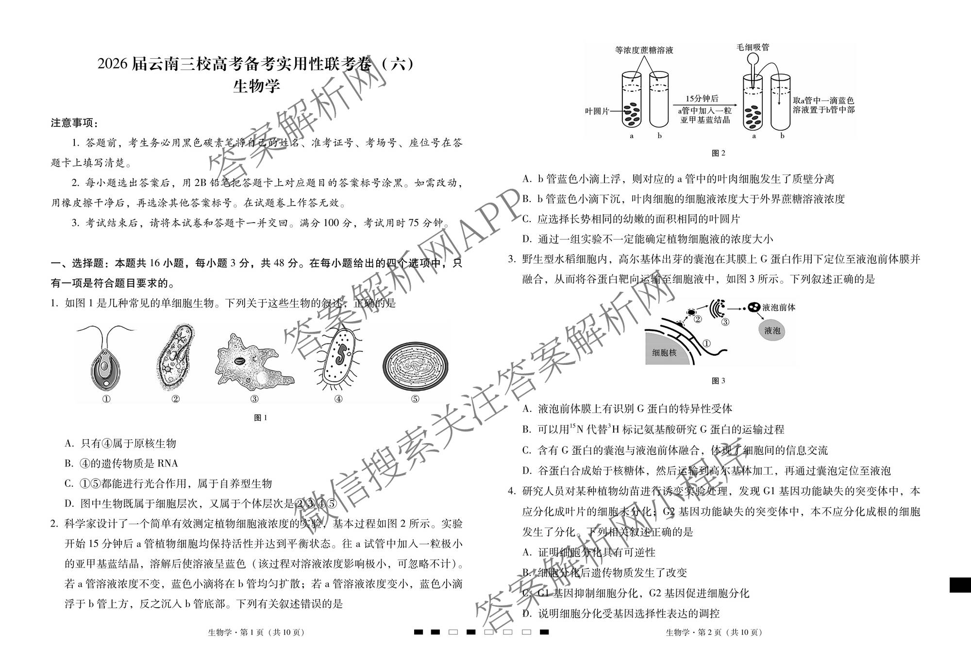 2026届云南三校高考备考实用性联考卷(六)(黑黑白黑白白白黑)各科答案及试卷（9科全）生物试题