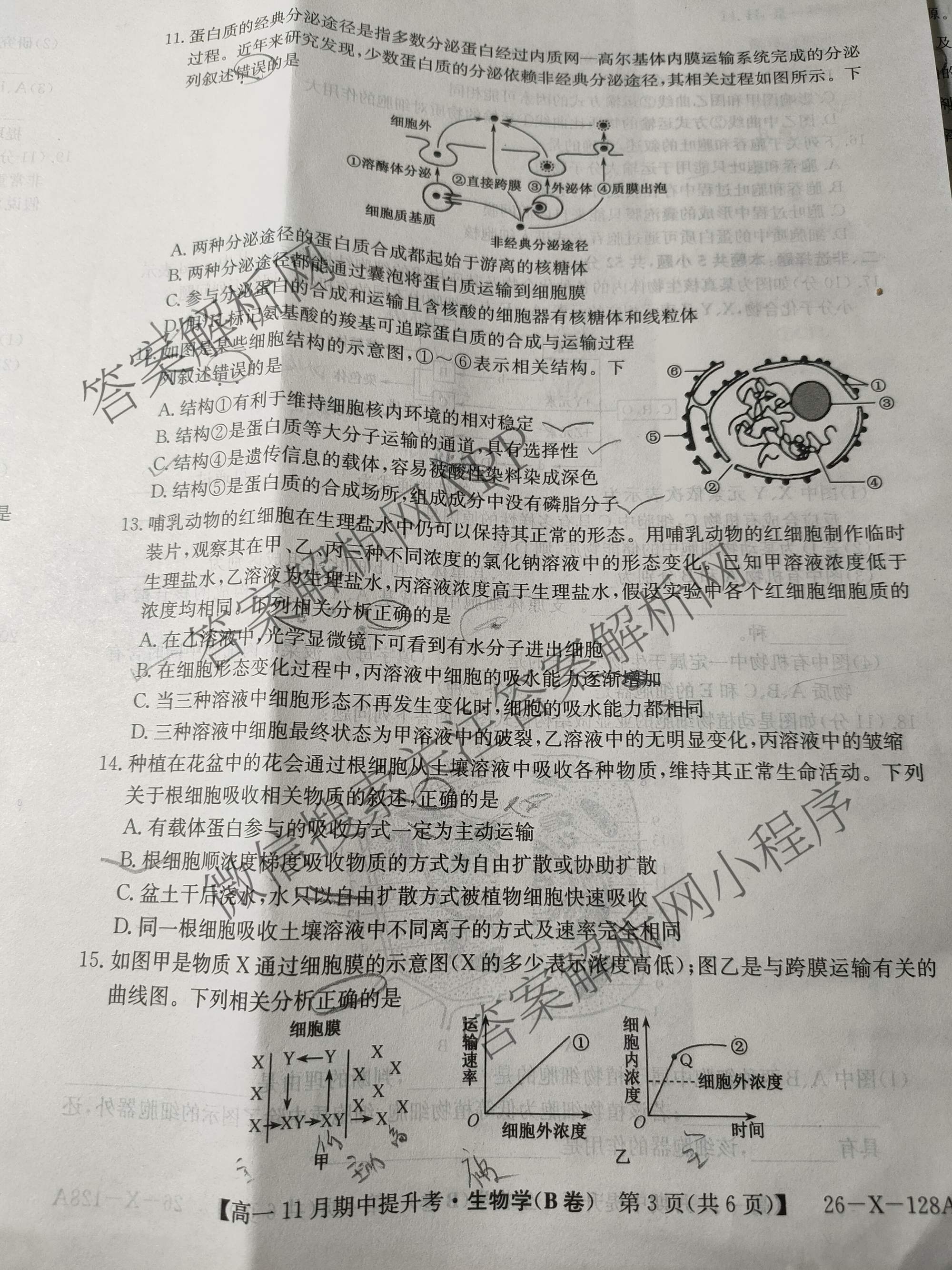 三晋卓越联盟2025~2026学年高一11月期中提升考(26-X-128A)（17科全）生物试题