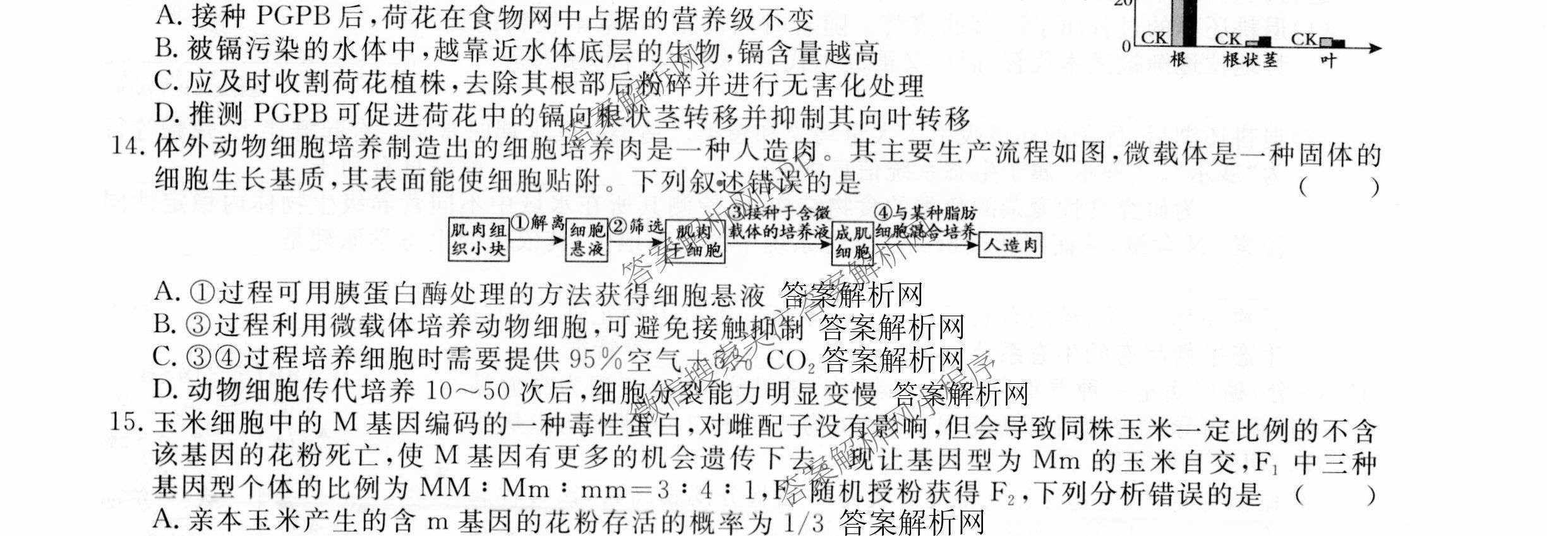 2026届高三总复习名师原创模拟(七)7各科答案及试卷（含地理(XS6J)、地理(CQX6)、政治(HEN6G)等）生物试题