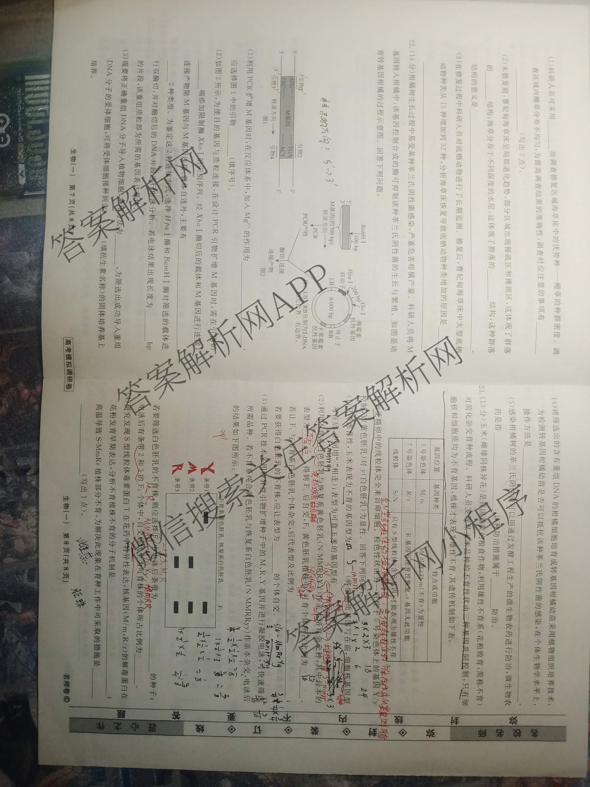 衡水名师卷高考模拟调研卷 2026年普通高等学校招生全国统一考试模拟试题(一)1各科答案及试卷（21科全）生物试题