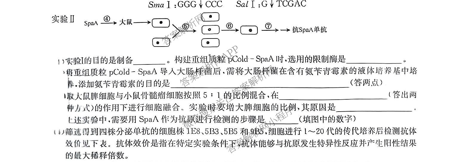 九师联盟江西省2024-2025学年高二7月质量检测试卷及答案汇总（含物理(X) 语文 生物(N)等）生物试题