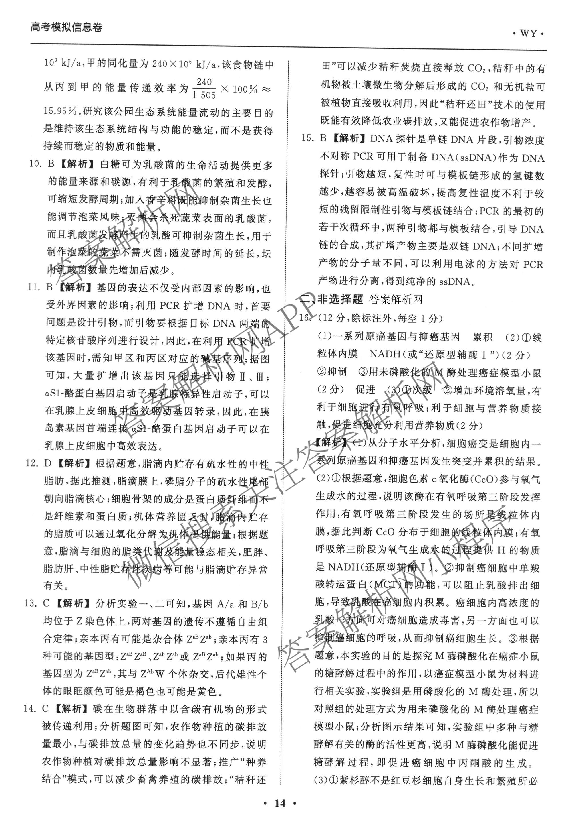 天舟高考衡中同卷2026年普通高等学校招生全国统一考试模拟信息卷(四)4试卷及答案汇总: 含化学(无字母)、数学(无字母)、理综(新疆版)试卷解析生物答案