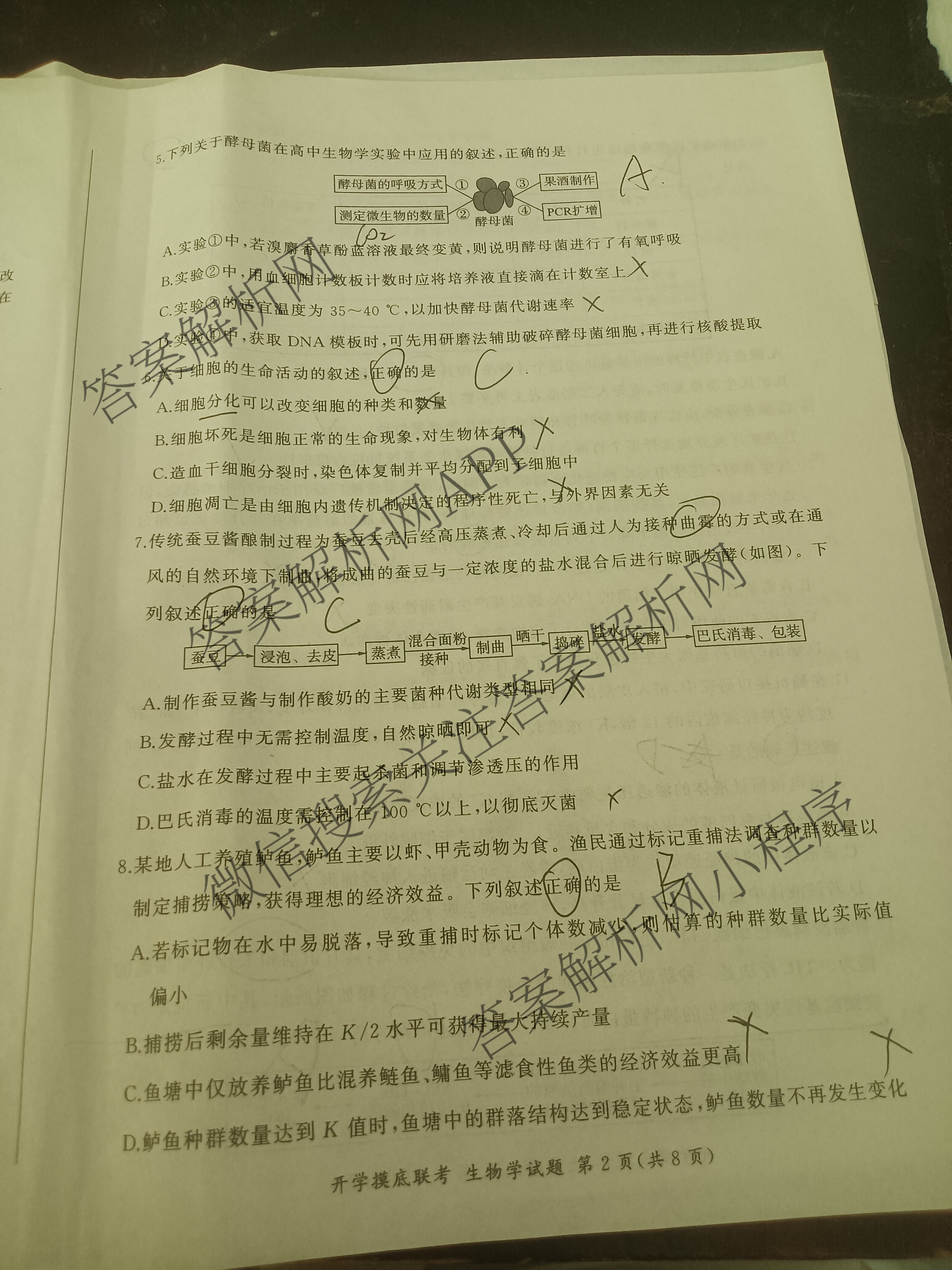 百师联盟2026届高三开学摸底联考(已更新物理(百C) 物理(百E) 地理(S)等56份)生物试题