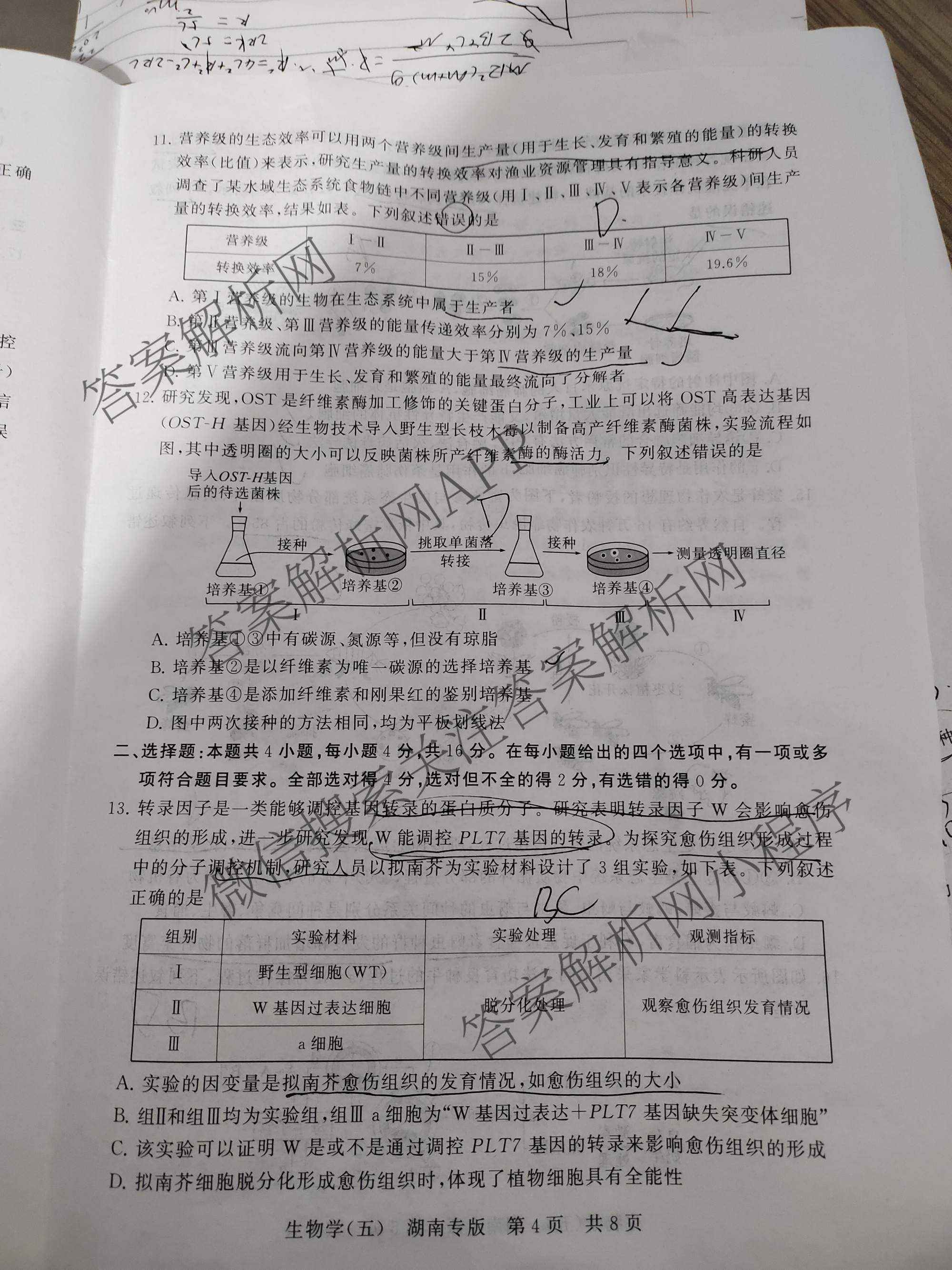 冲刺新高考2026届高考仿真训练(T8)(五)5各科答案及试卷: 含生物(河南专版)、物理(河北专版)、物理(陕晋青宁专版)试卷解析生物试题