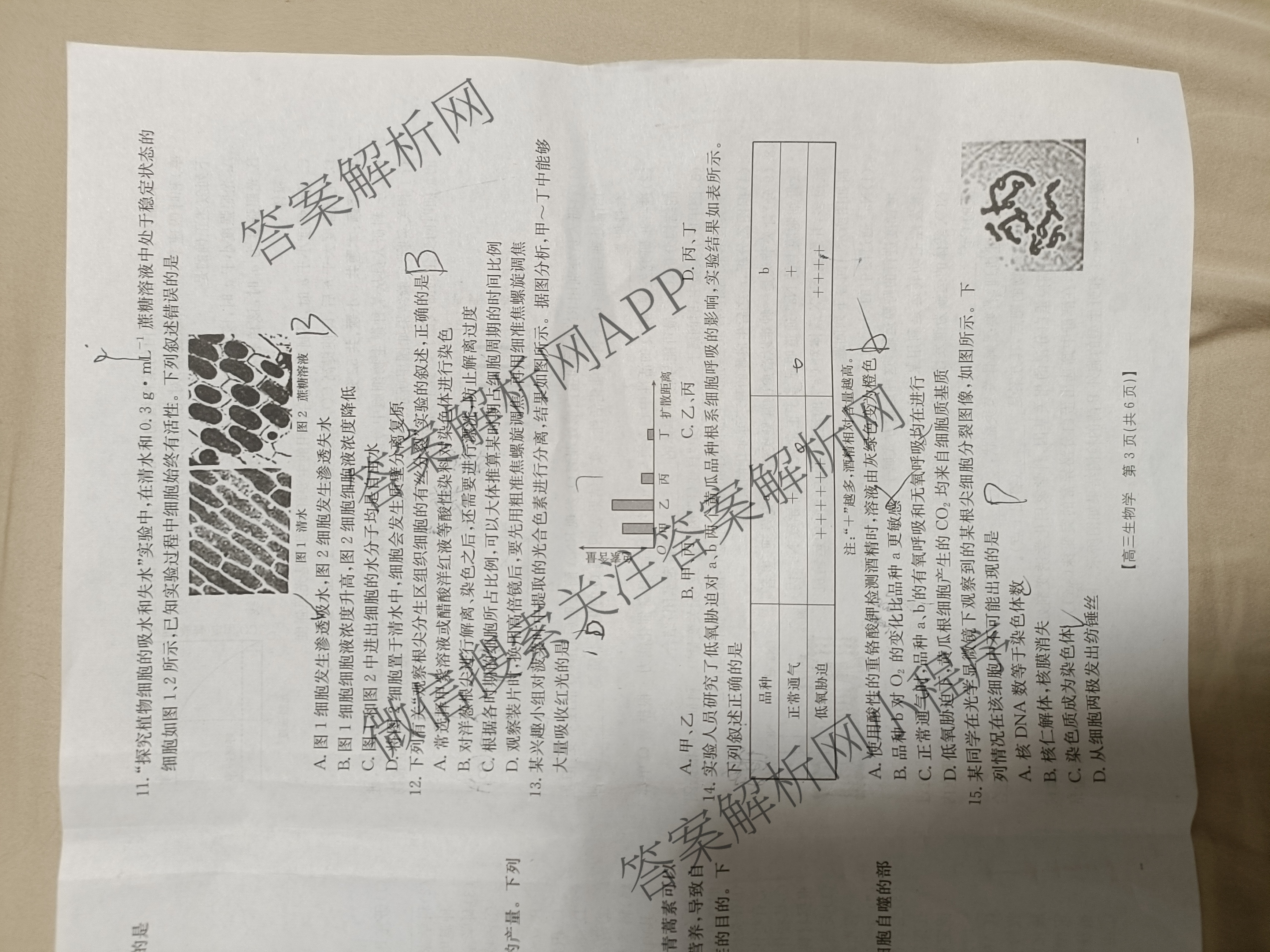 陕西2026届高三年级考试(9.29)试卷及答案汇总(已更新英语、数学、历史等9份)生物试题
