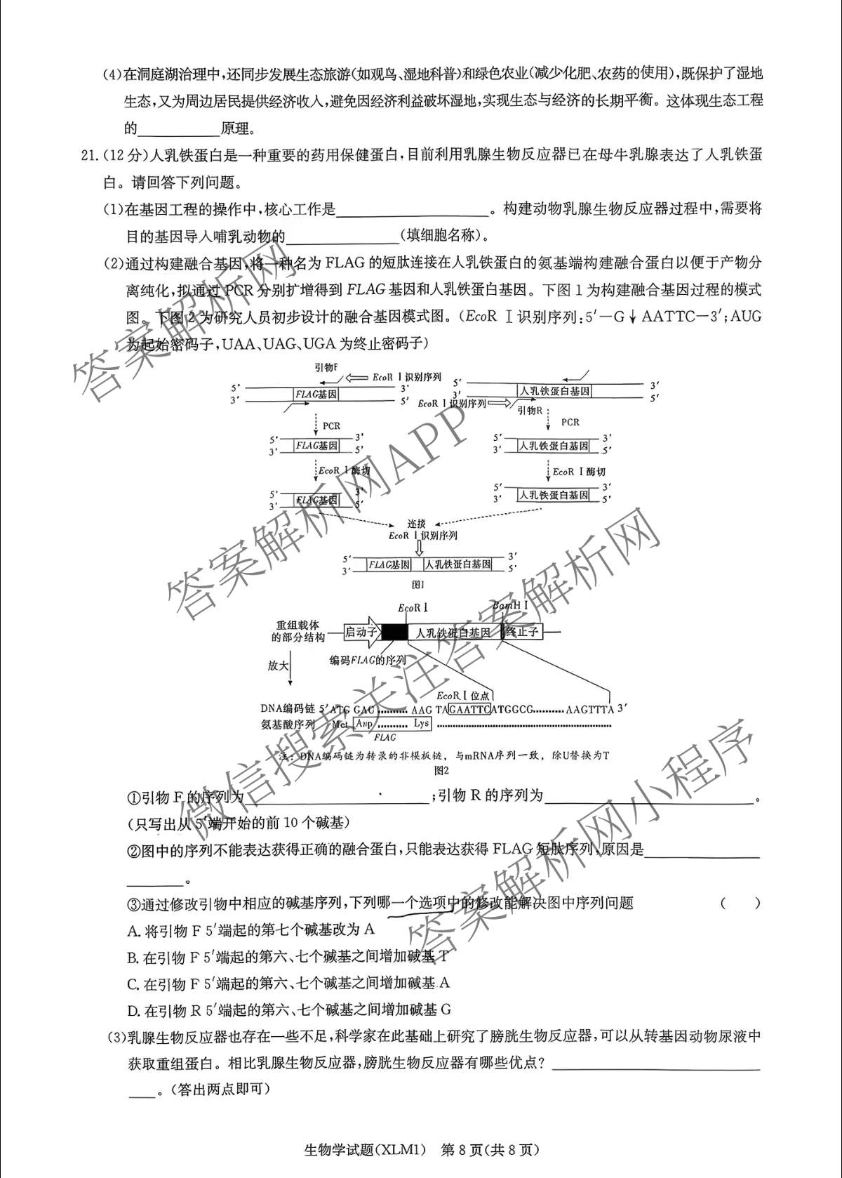 湖南新高考教学教研联盟2026届高三下学期3月联考(XLM1)各科答案及试卷（10科全）生物试题