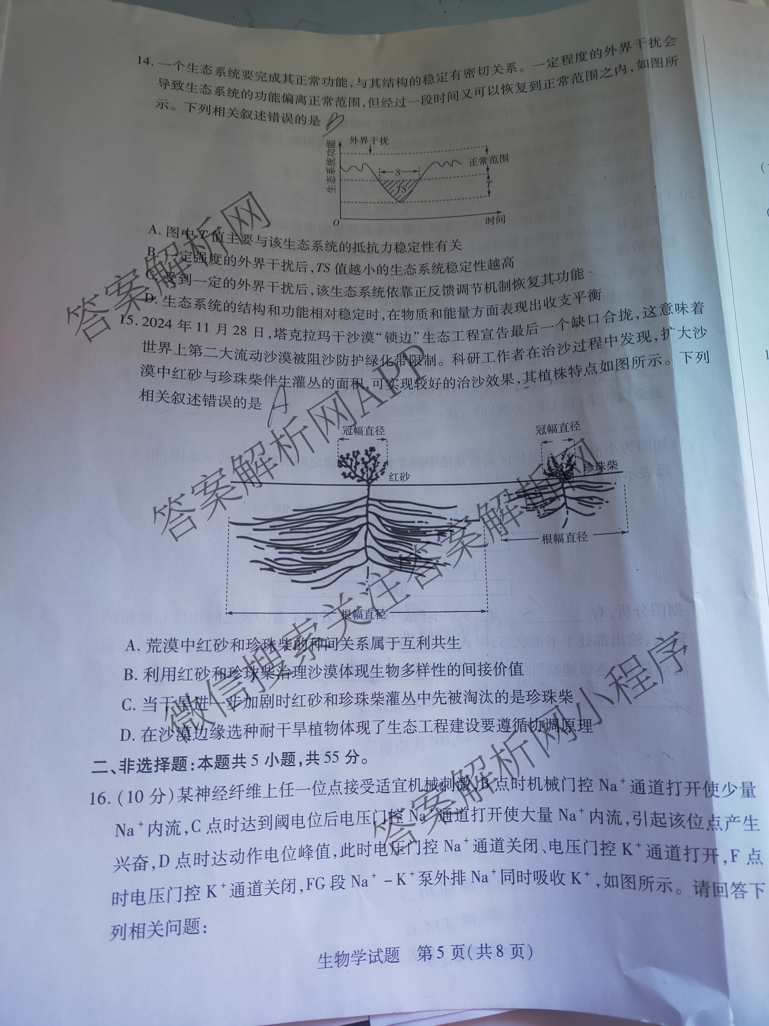 天一大联考2024-2025学年(下)安徽高二3月调研考试各科答案及试卷: 含数学、化学(池州专版)、生物试卷解析生物试题