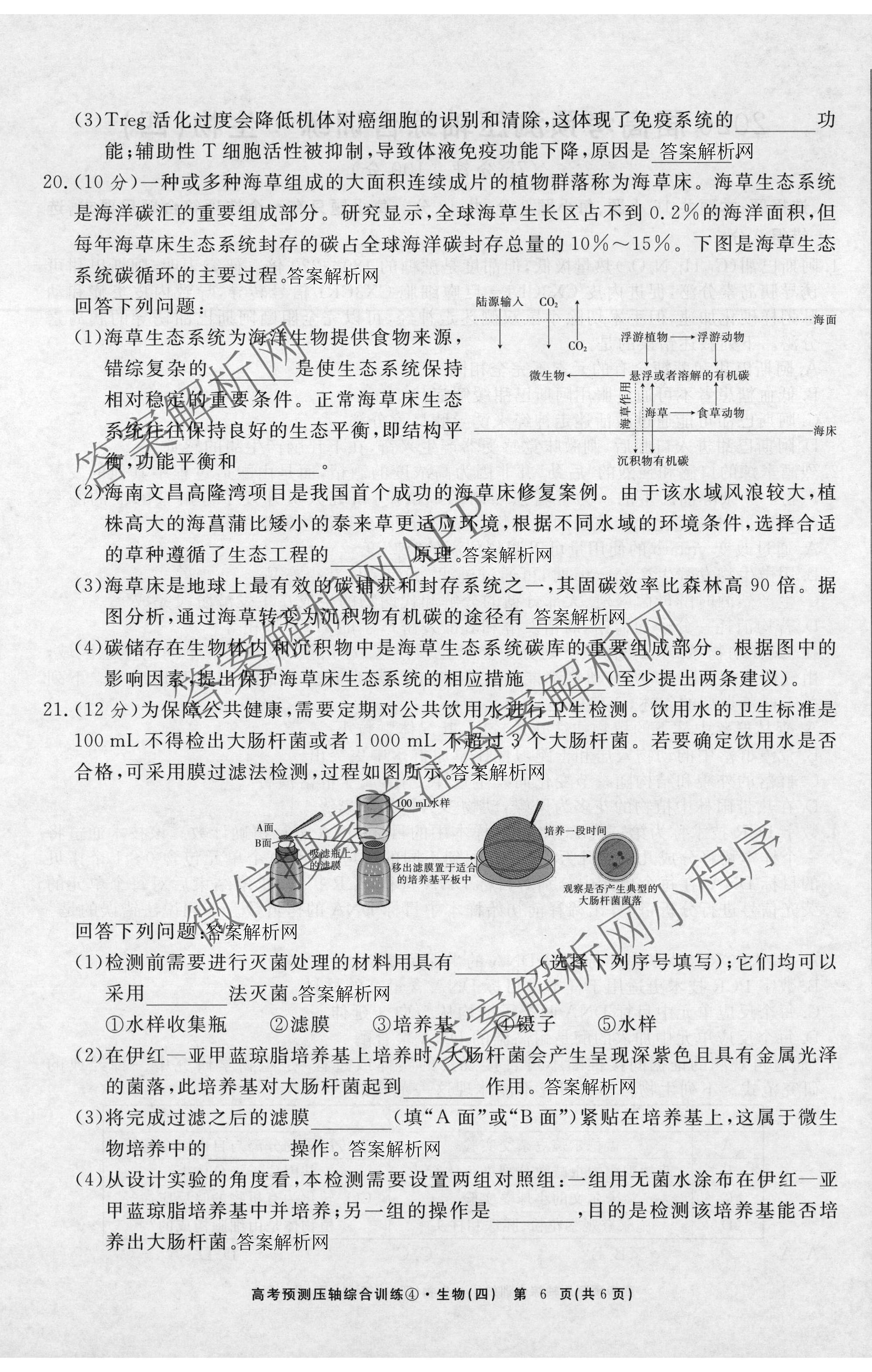 2026届高考预测压轴综合训练(四)4各科答案及试卷: 含政治(4) 英语 物理(5)试卷解析生物试题