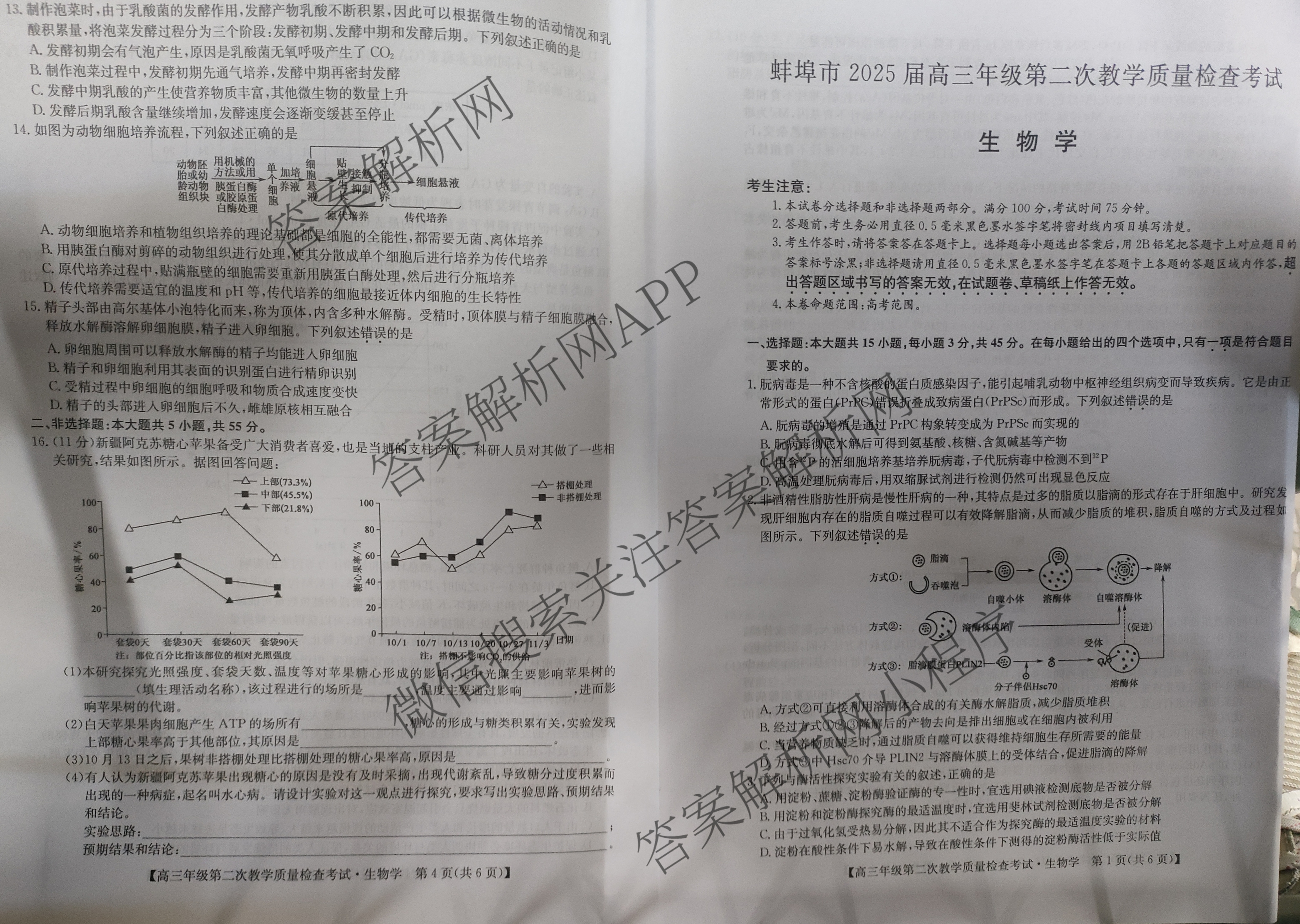 蚌埠市2025届高三年级第二次教学质量检查考试（含政治 数学 日语等10份）生物试题