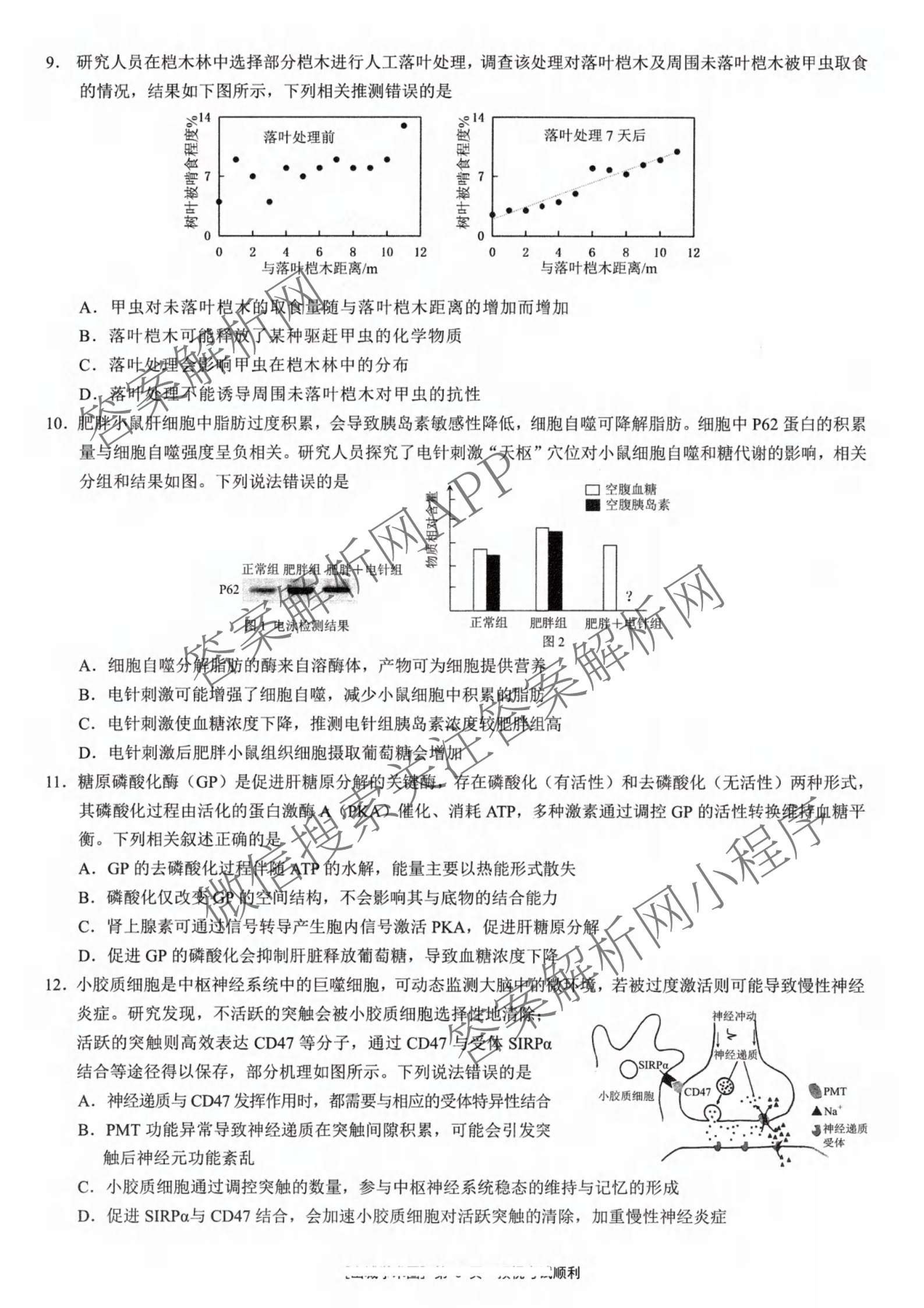 重庆康德2026届重庆市高考模拟调研卷(六)试卷及答案汇总: 含数学、历史、政治试卷解析生物答案