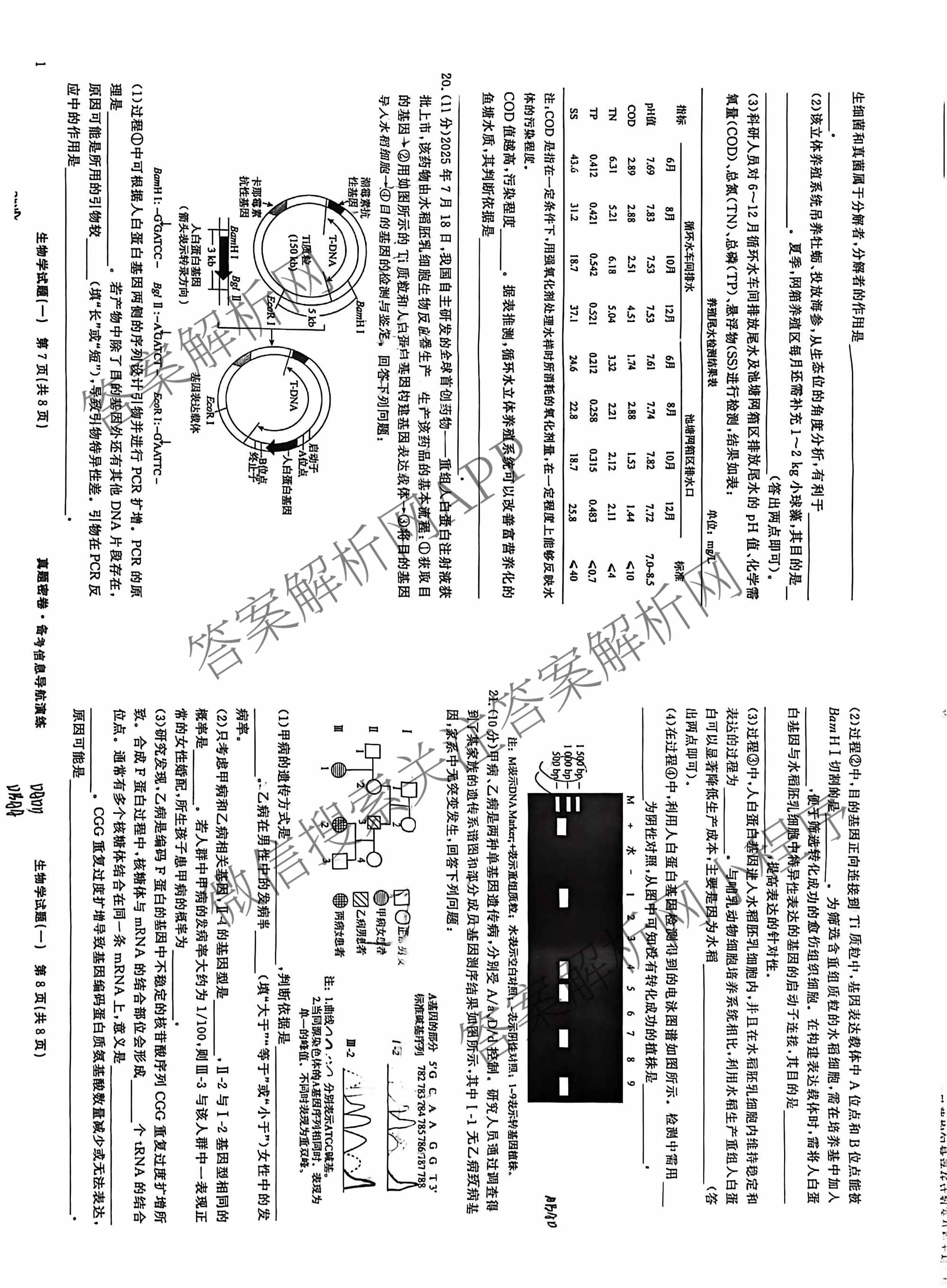 真题密卷2025-2026学年度备考信息导航演练(一)1试卷及答案汇总（含化学(7) 英语(BT) 语文(A)等）生物试题