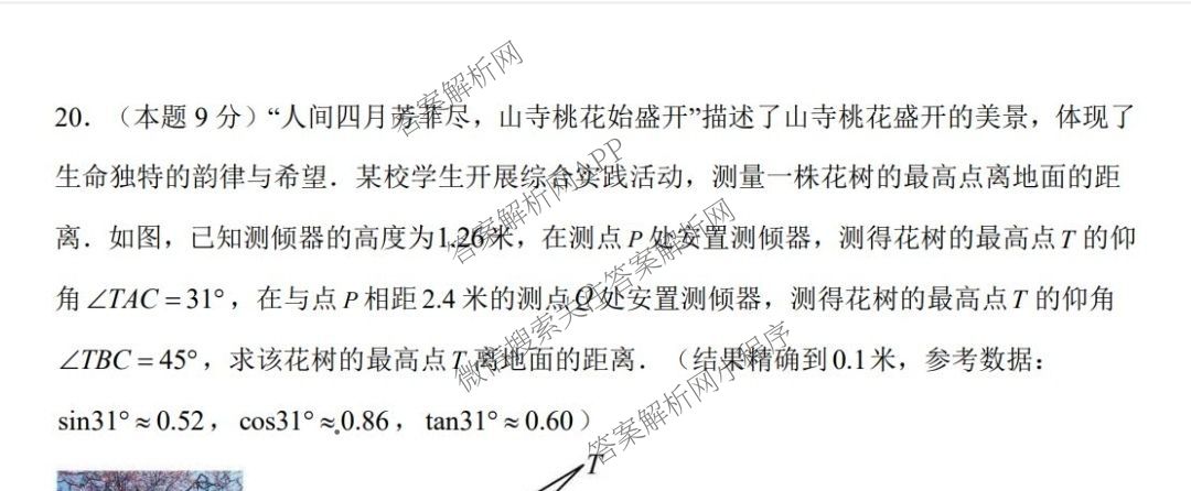 2025年山西省初中学业水模拟考试(三)各科答案及试卷（含数学 语文 道德与法治等）数学试题