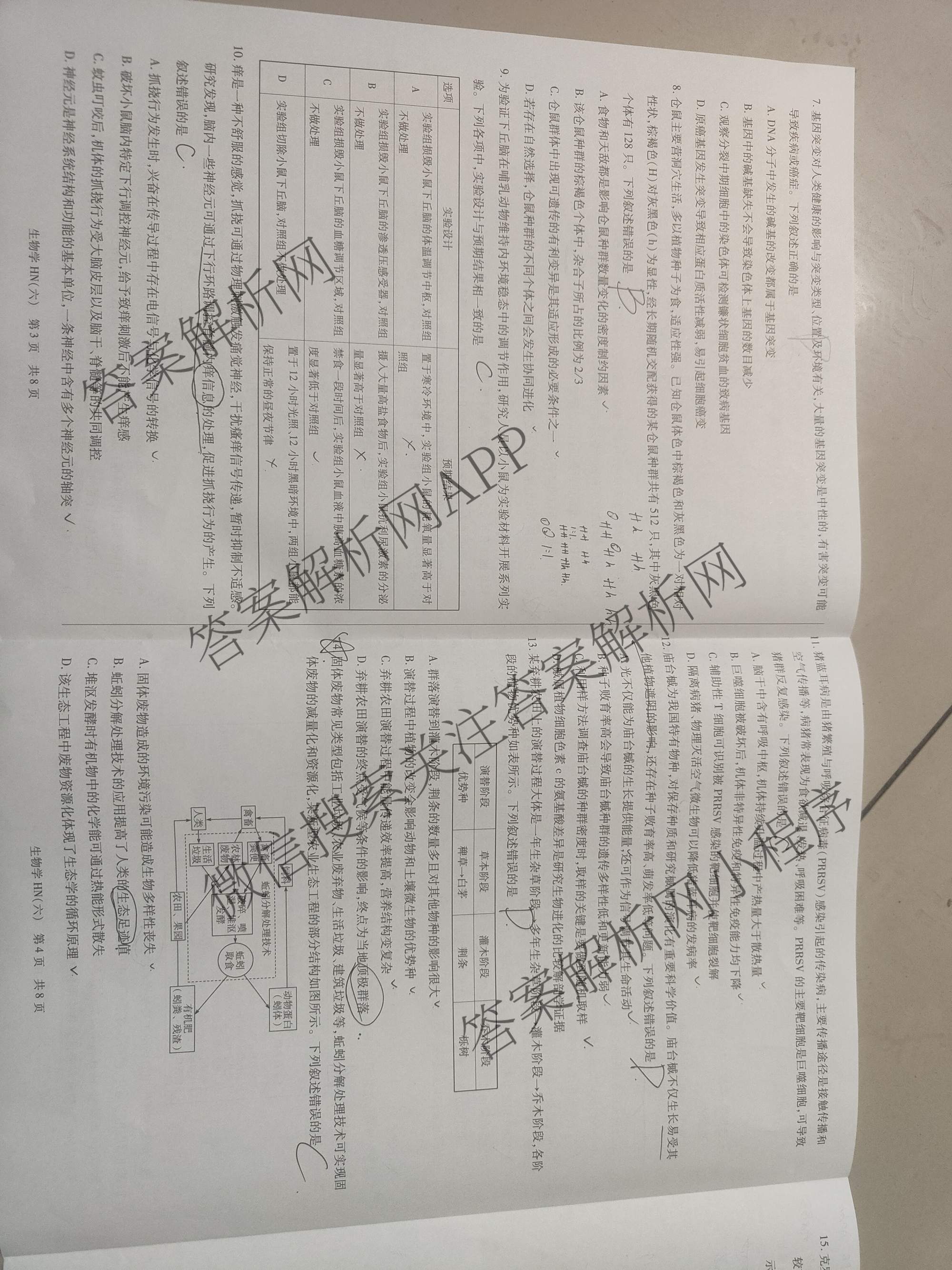 天一大联考2026届高三冲刺(六)6（含物理(SHX) 物理(ANH) 化学(ANH)等27份）生物试题