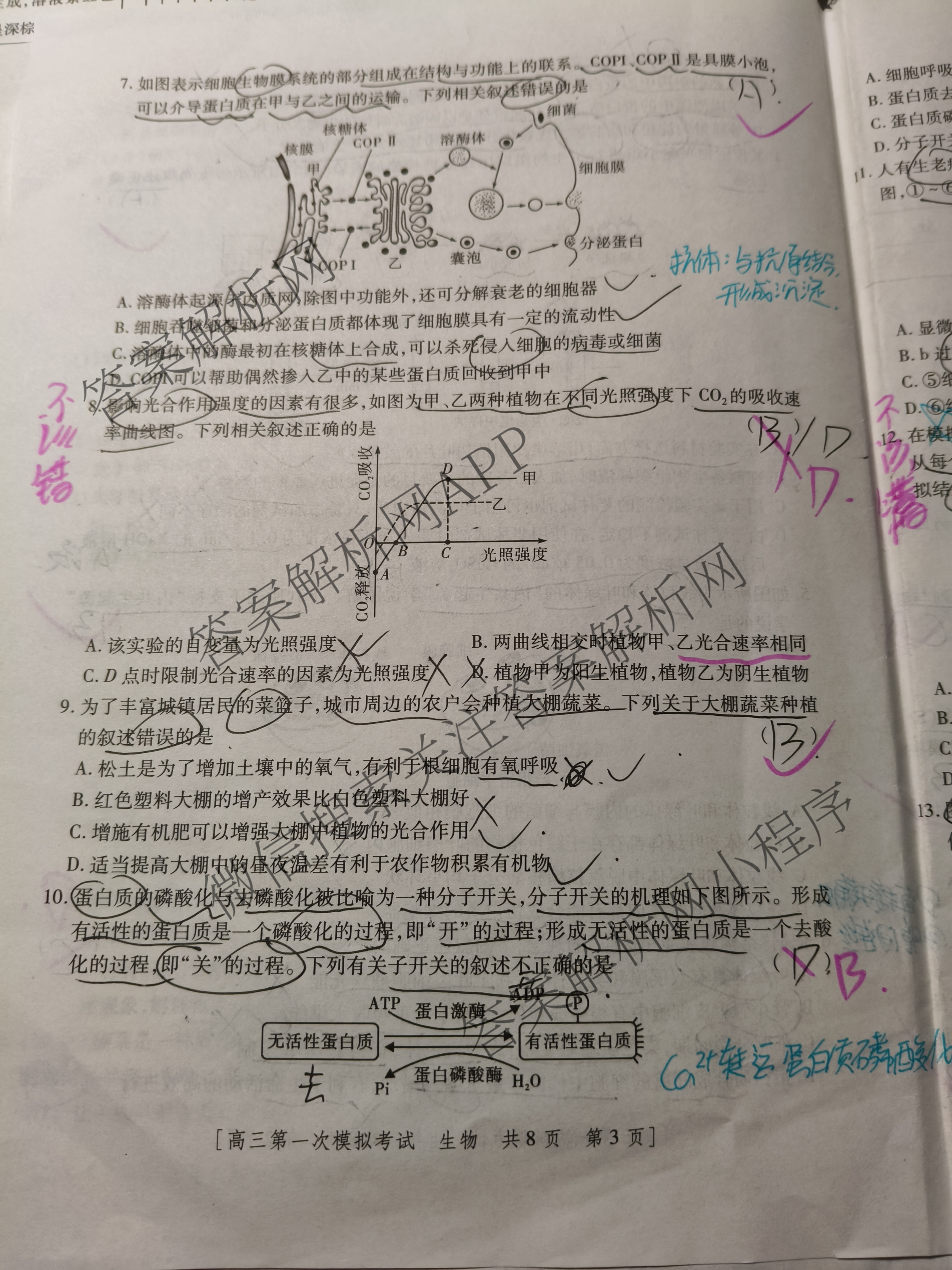陕西省兴市2026届高三第一次模拟考试（含政治 数学 语文等）生物试题