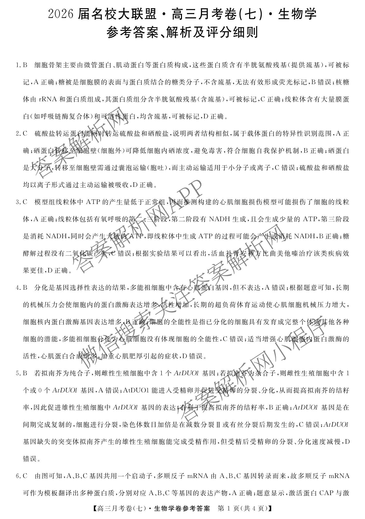 2026届名校大联盟高三月考卷(七)7试卷及答案汇总: 含数学、政治、历史试卷解析生物答案
