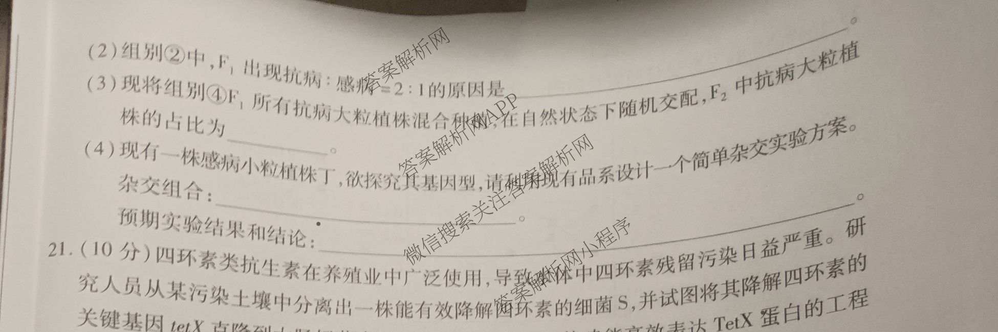 天一大联考2027届高三联考(★★★202609)(9.8)各科答案及试卷（含语文、英语、物理等）生物试题