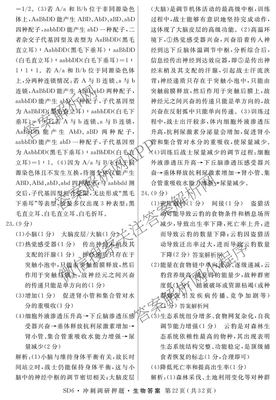 2026届冲刺调研押题实战演练(四)4（含地理(SX6) 地理(AG6) 历史(SD6)等）生物答案