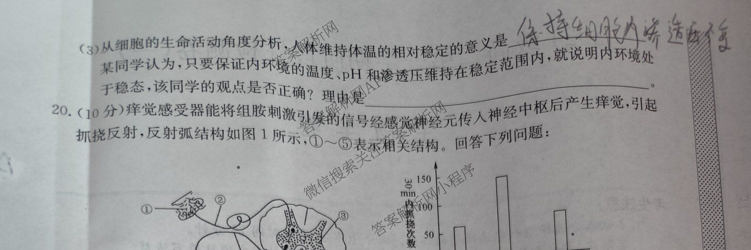 陕西省2024级高二第一学期阶段性检测卷(一)(26-L-065B)（含生物、历史、数学等9份）生物试题