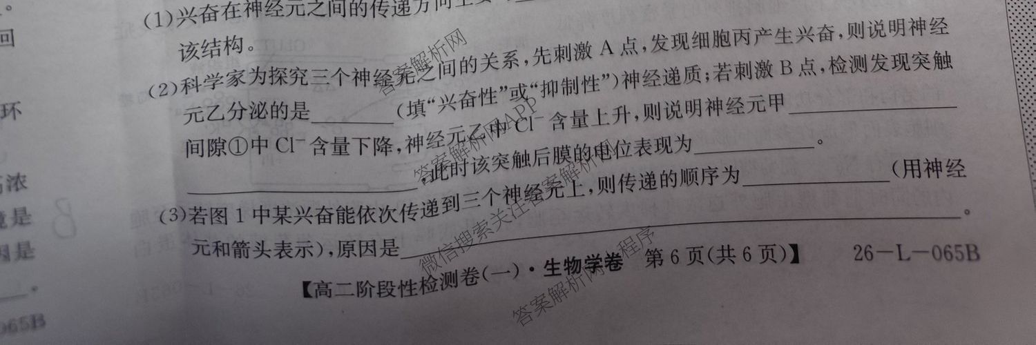 陕西省2024级高二第一学期阶段性检测卷(一)(26-L-065B)（含生物、历史、数学等9份）生物试题