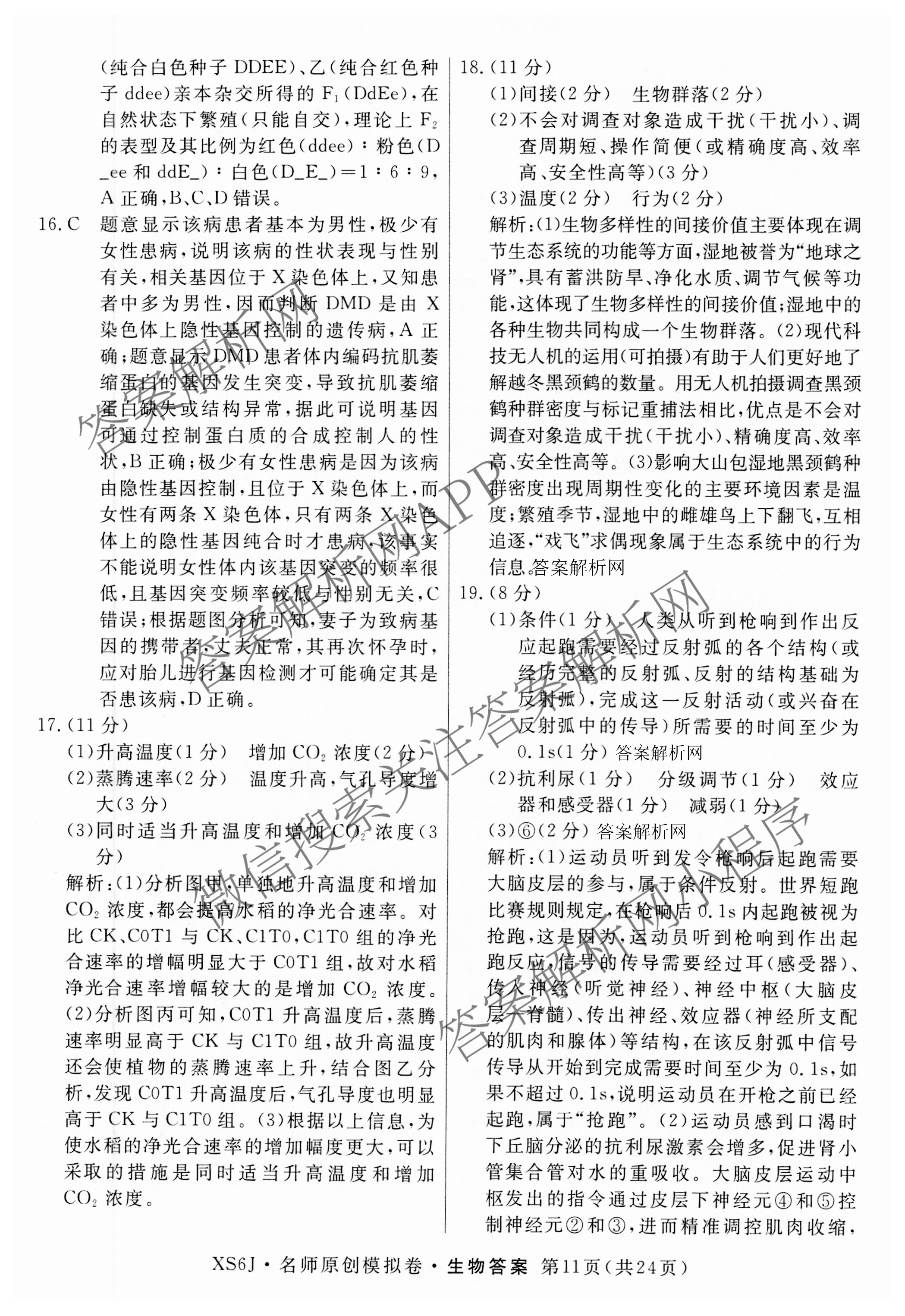 2026届高三总复习名师原创模拟(九)9各科答案及试卷（39科全）生物答案