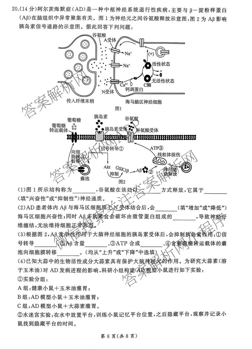 百师联盟2026届高三开年大联考(3.5)(已更新数学(百C)、历史(百N)、历史(百G)等81份)生物试题