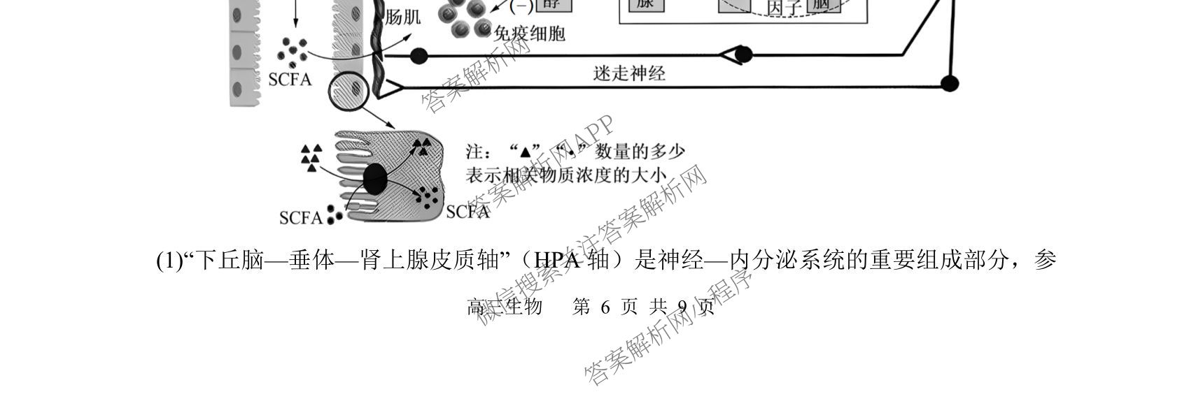 射洪中学高2023级高三上期期中考试试卷及答案汇总(已更新地理 物理 语文等9份)生物试题