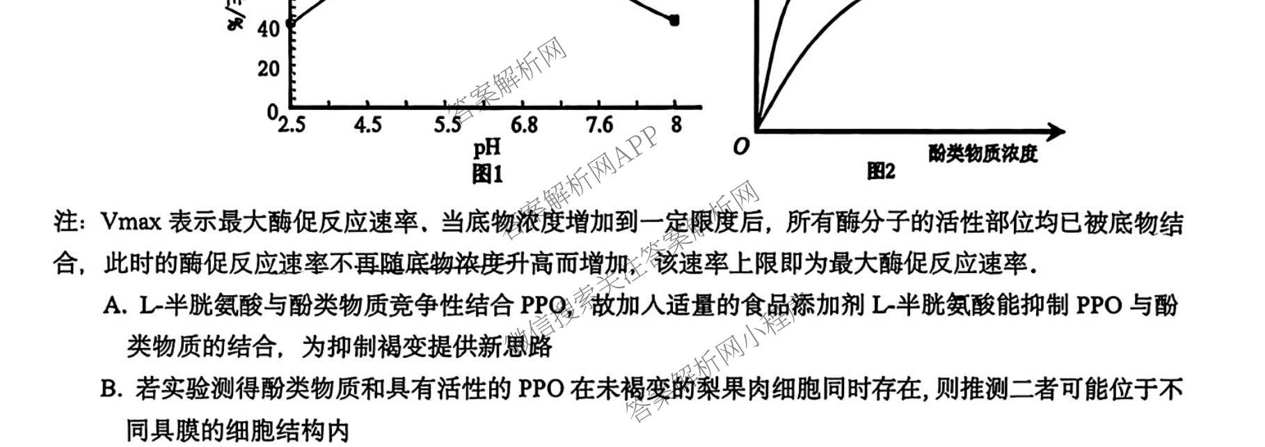 新疆乌鲁木齐市第一中学2026-2027学年第一学期2027届高三年级第一次月考各科答案及试卷（9科全）生物试题
