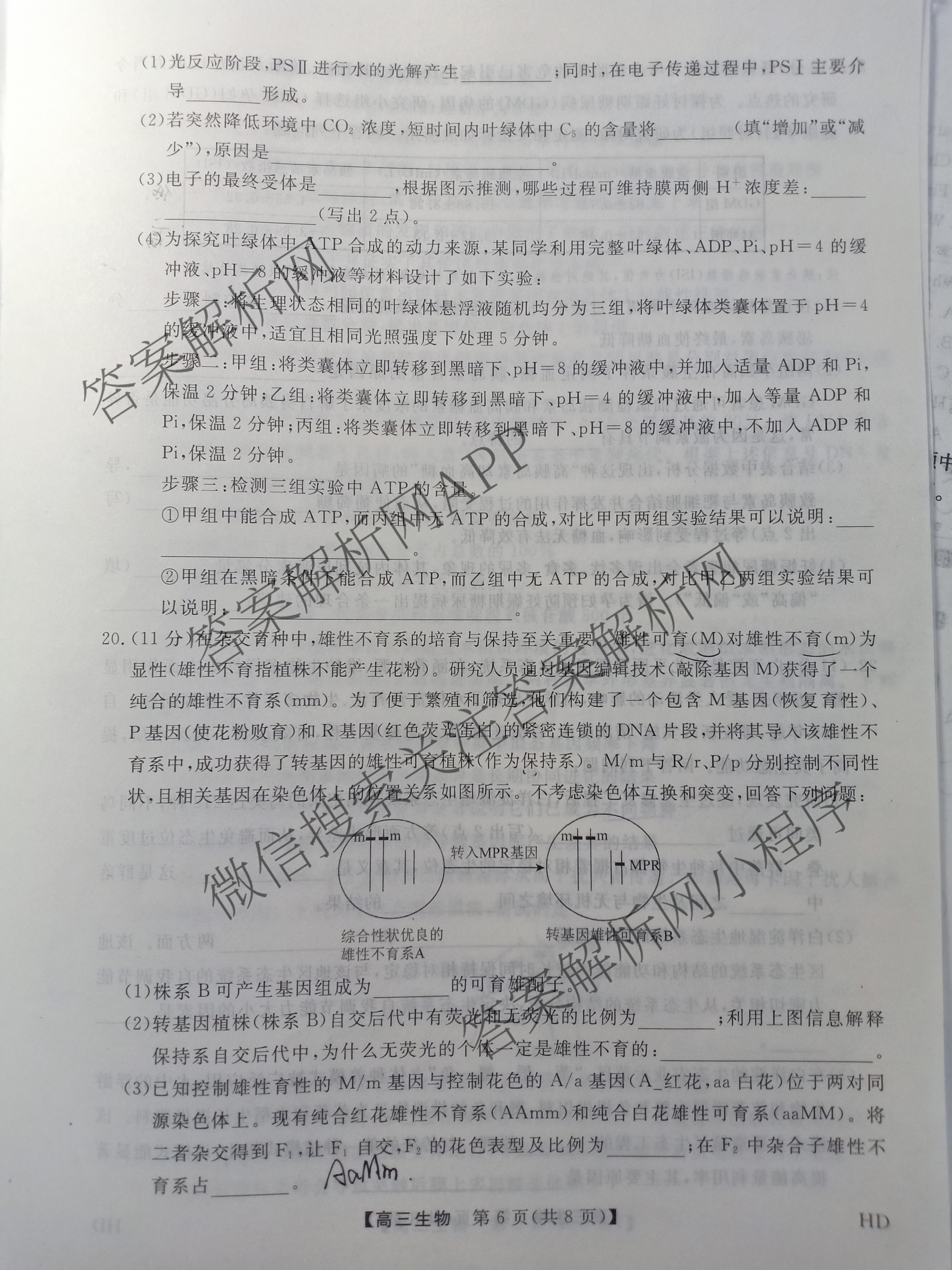 河北省2025-2026学年上学期高三年级12月份考试(HD)各科答案及试卷(已更新生物、地理、物理等9份)生物试题