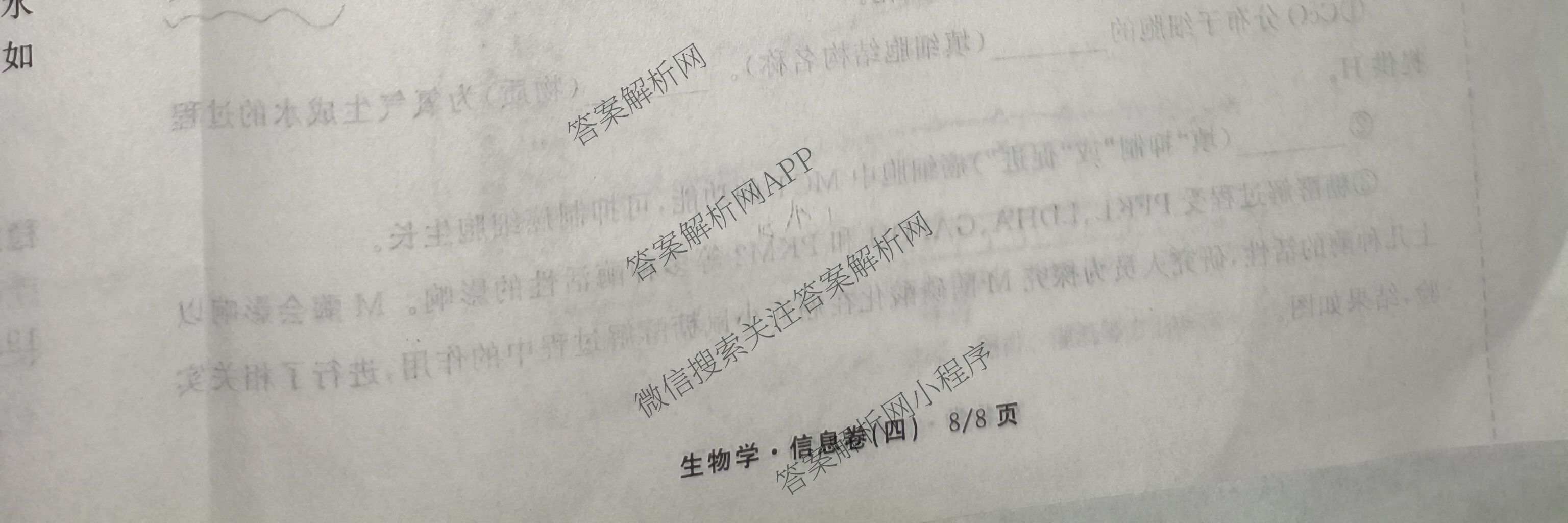 天舟高考衡中同卷2026年普通高等学校招生全国统一考试模拟信息卷(四)4试卷及答案汇总: 含化学(无字母)、数学(无字母)、理综(新疆版)试卷解析生物试题